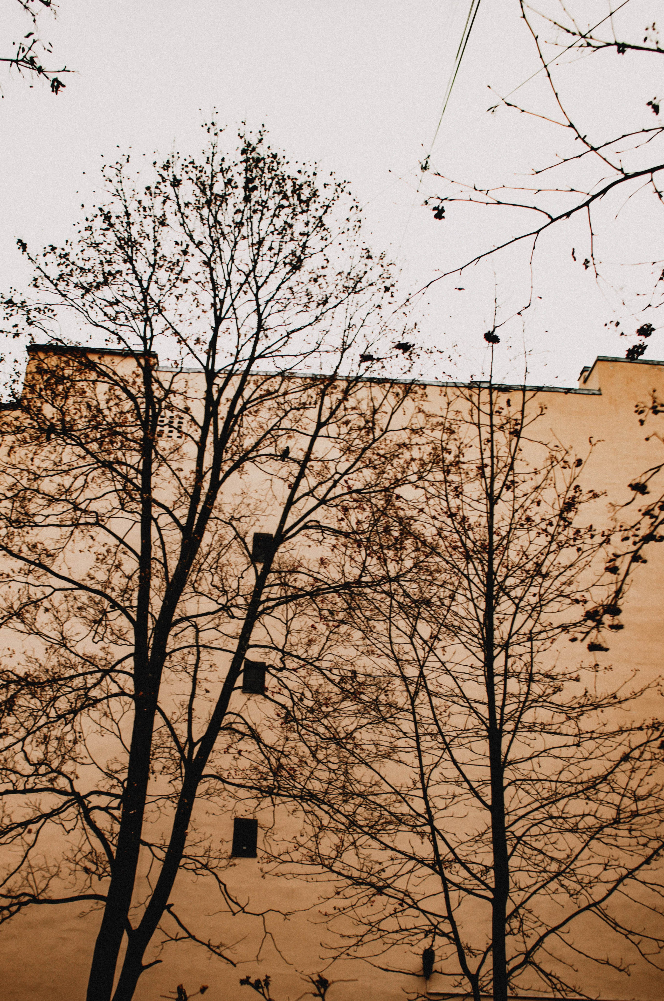 Питер / 24. Фотограф в Нижнем Новгороде