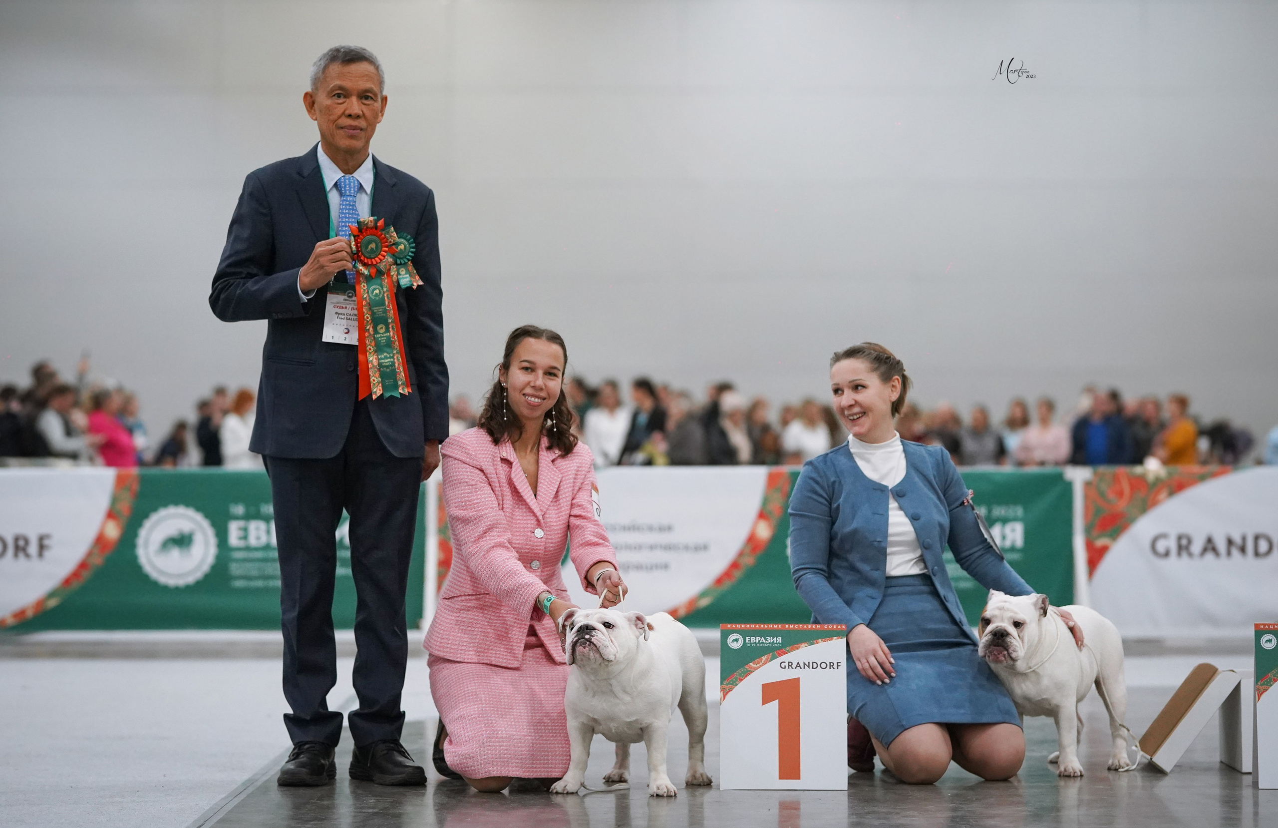 Выставки 2023. Фотограф-анималист в Санкт-Петербурге Яна Мартынова