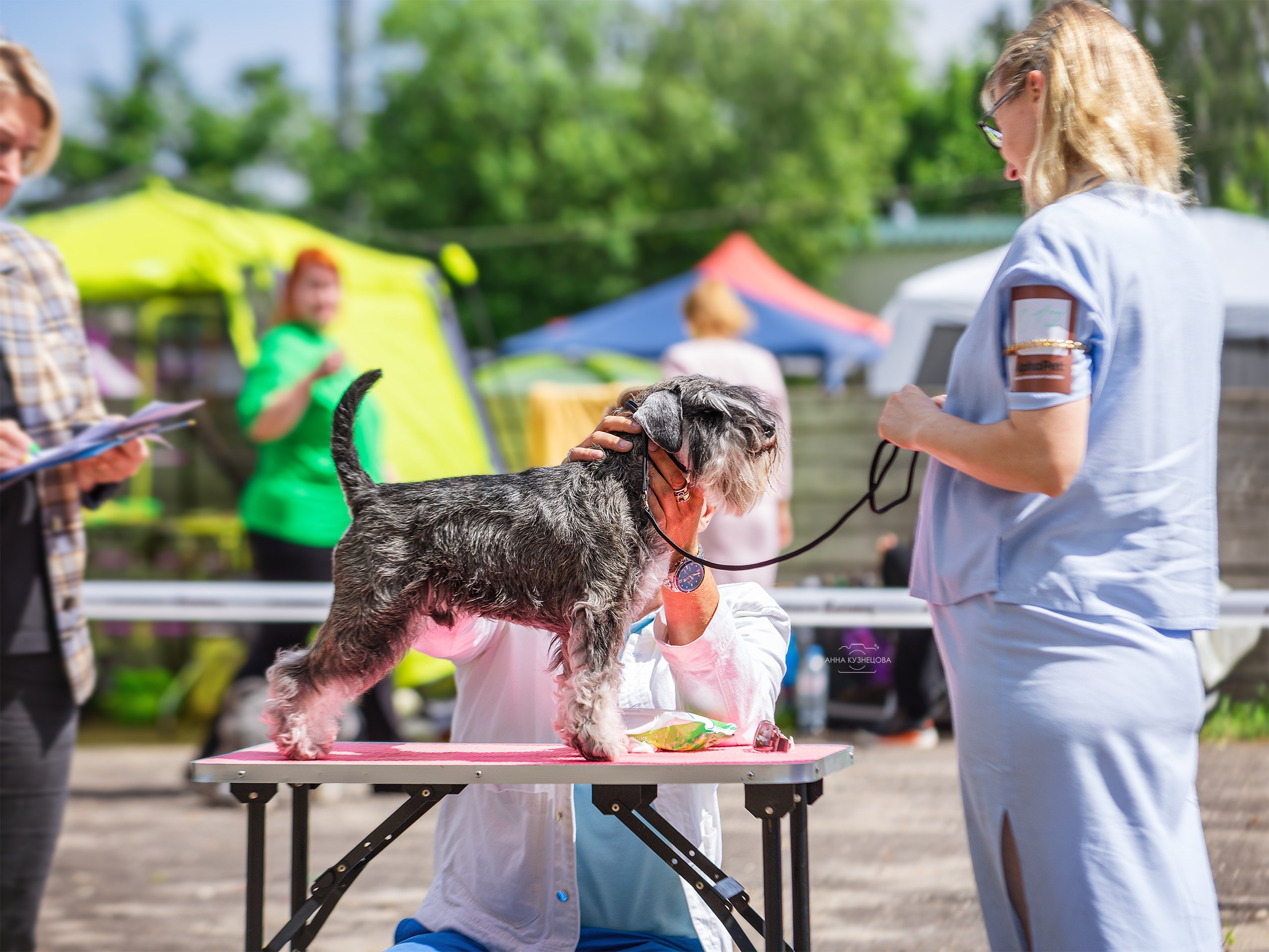В ринге. Фотограф анималист Кузнецова Анна Нижний Новгород