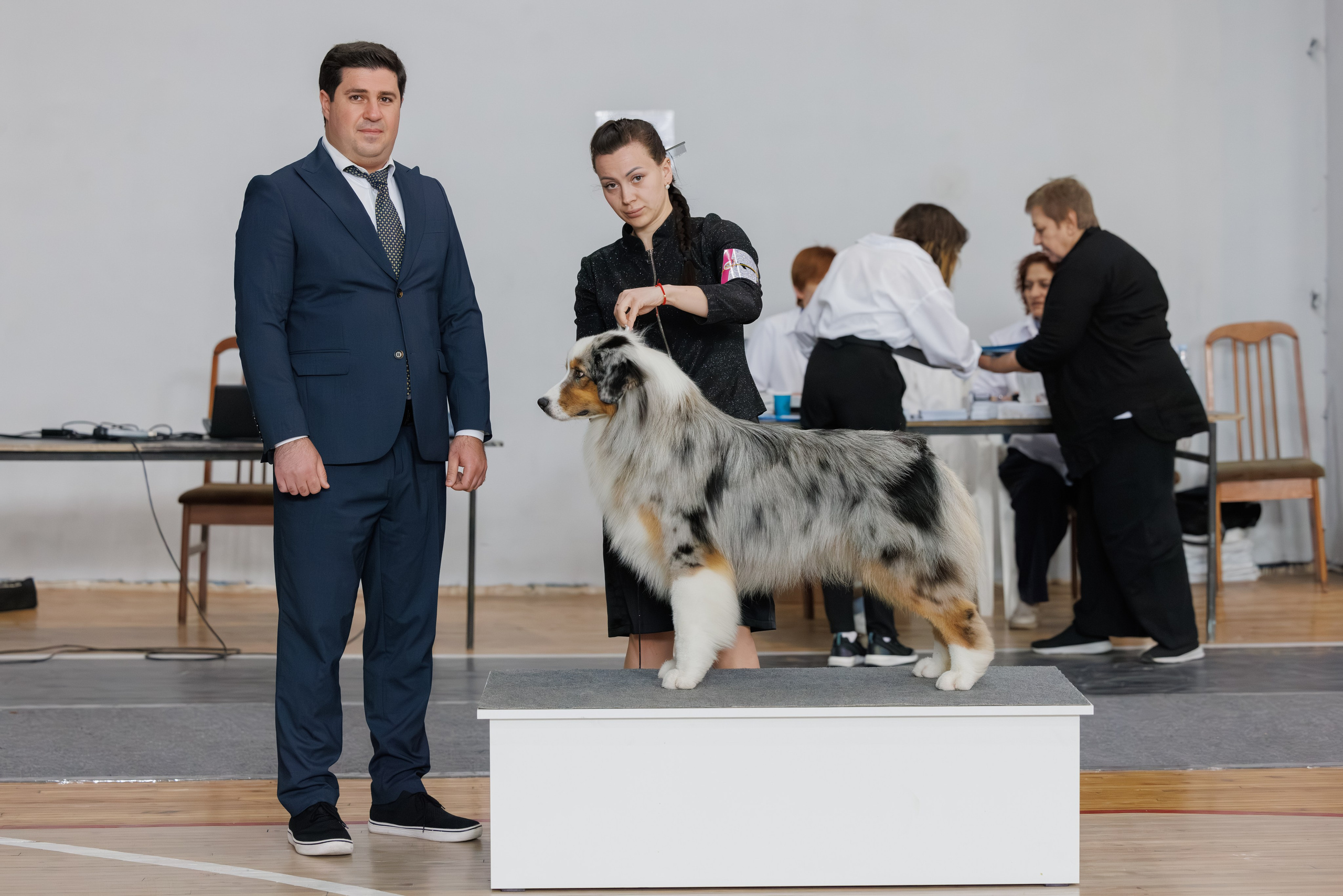 Ереван 2х CACIB 29-30.04.2025. Фотограф-анималист Юлия Германика