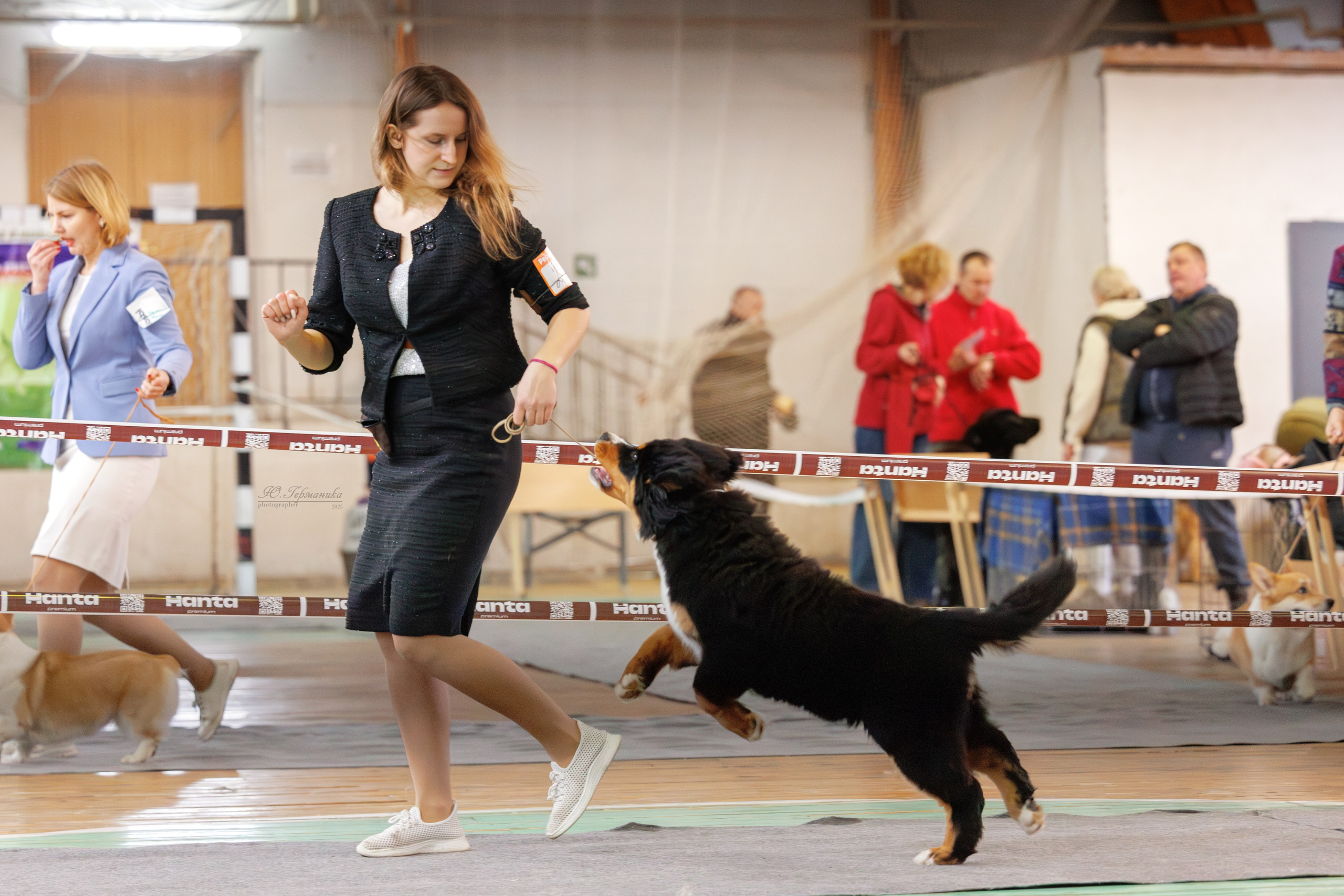 Тверь 21.12.2025. Фотограф-анималист Юлия Германика