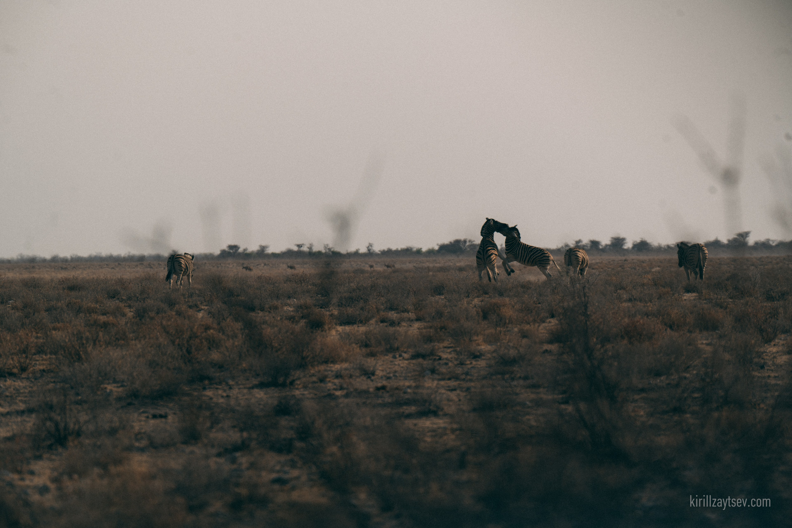 Жизнь. Профессиональный фотограф Кирилл Зайцев