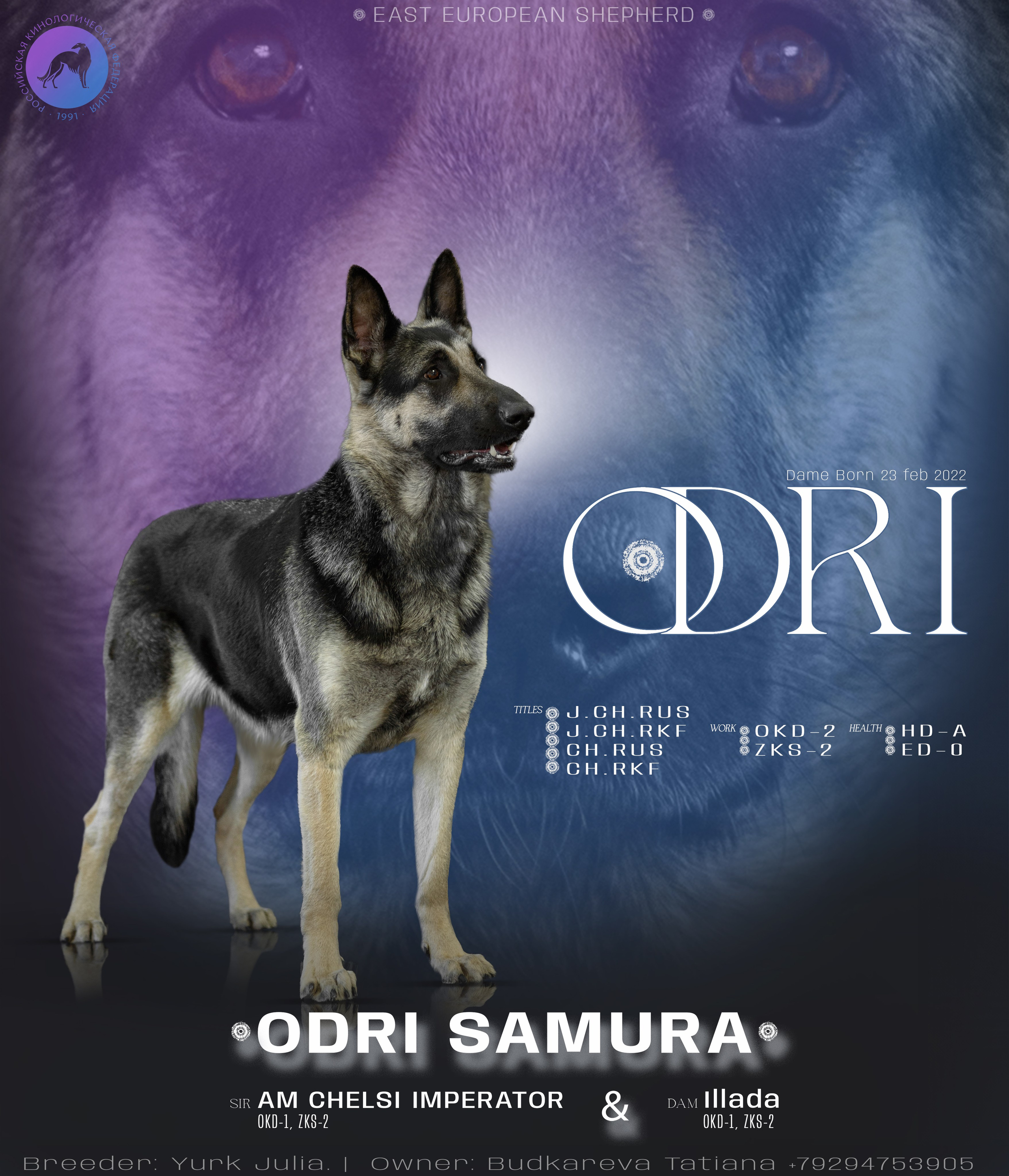 Презентации производителей. Фотограф анималист Благовещенск. Сафонова Виктория