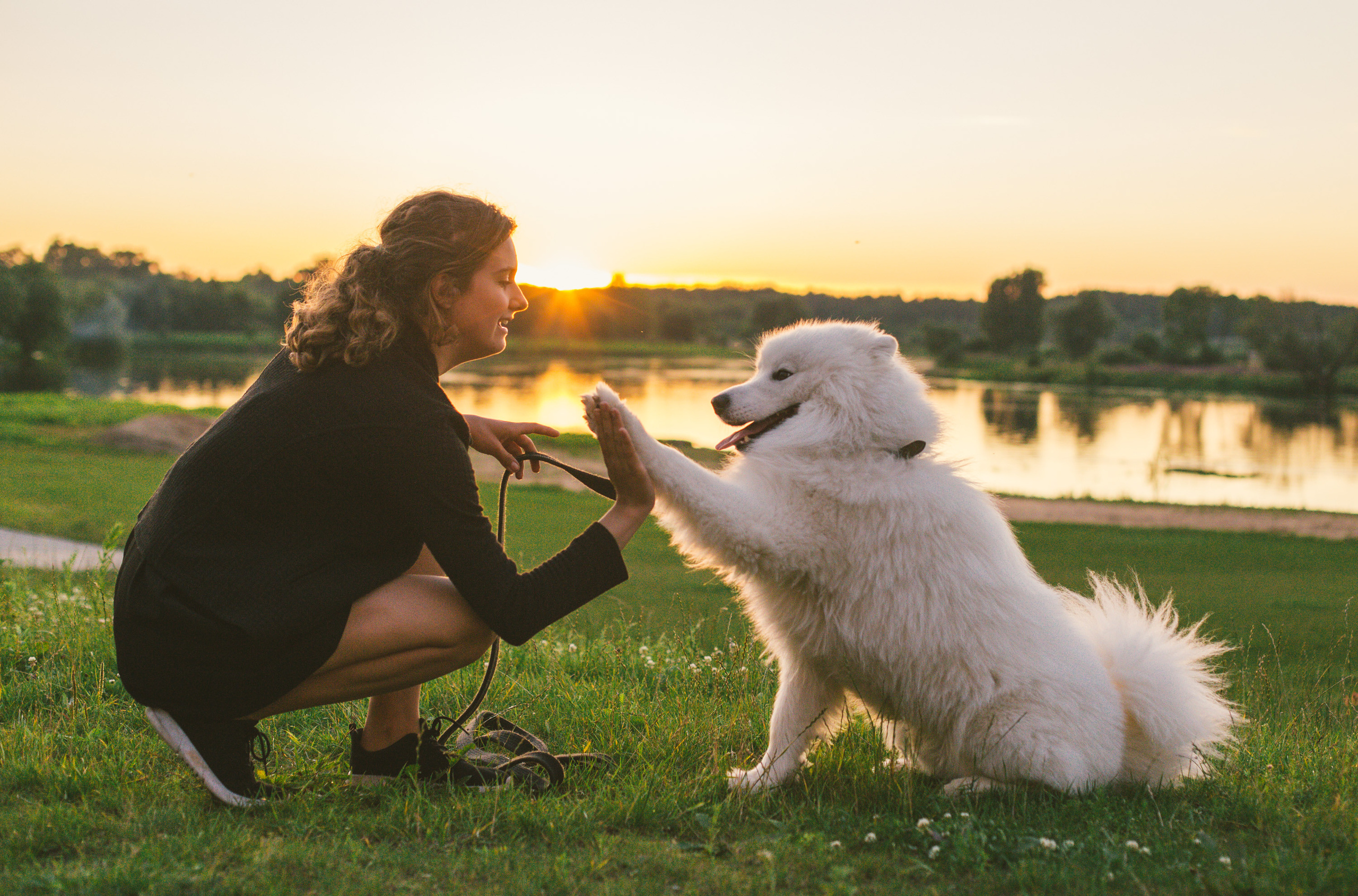 ZAVIDOVO. Photo/Video Production