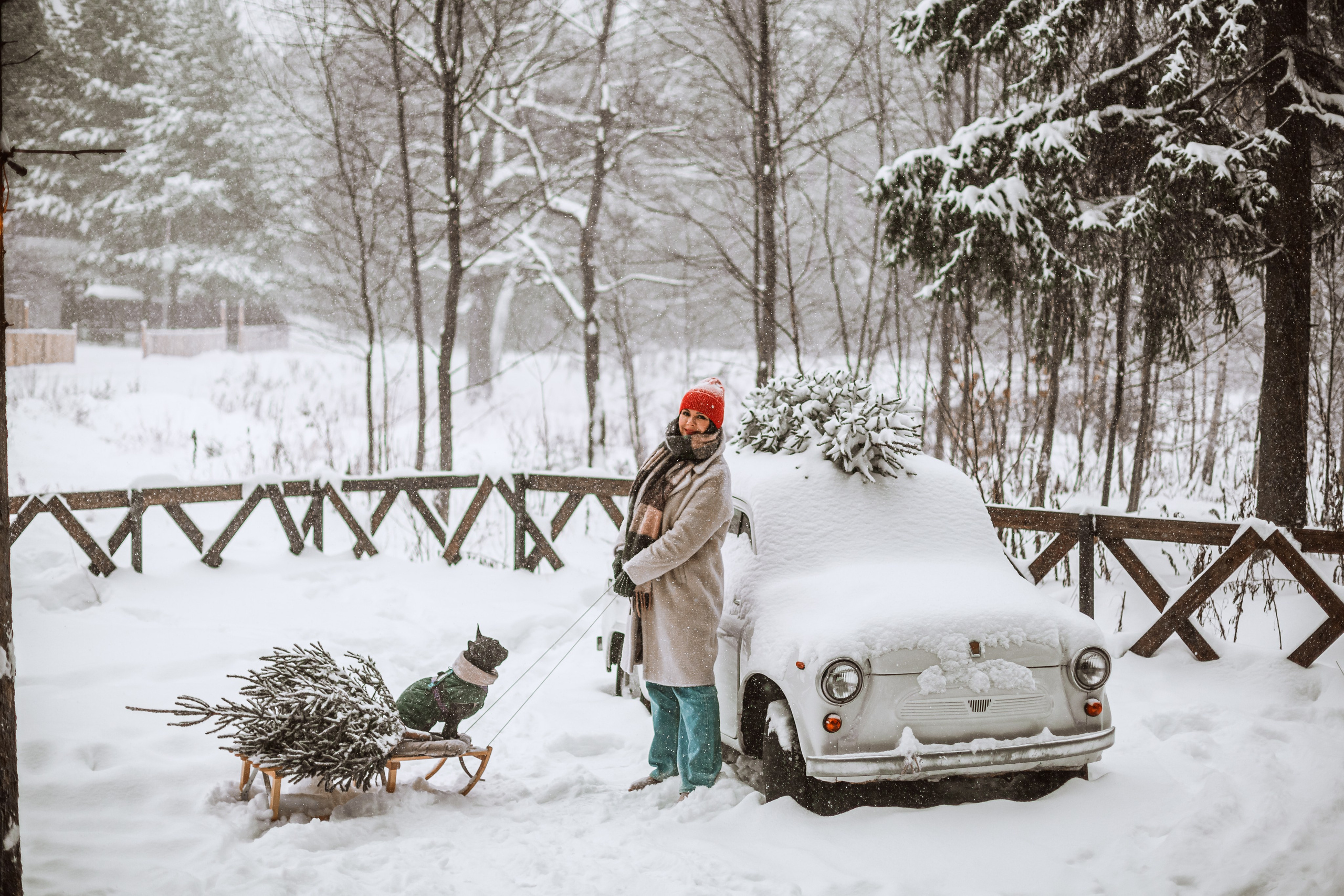 Кантри Хаус. Фотограф-анималист Татьяна Степанова