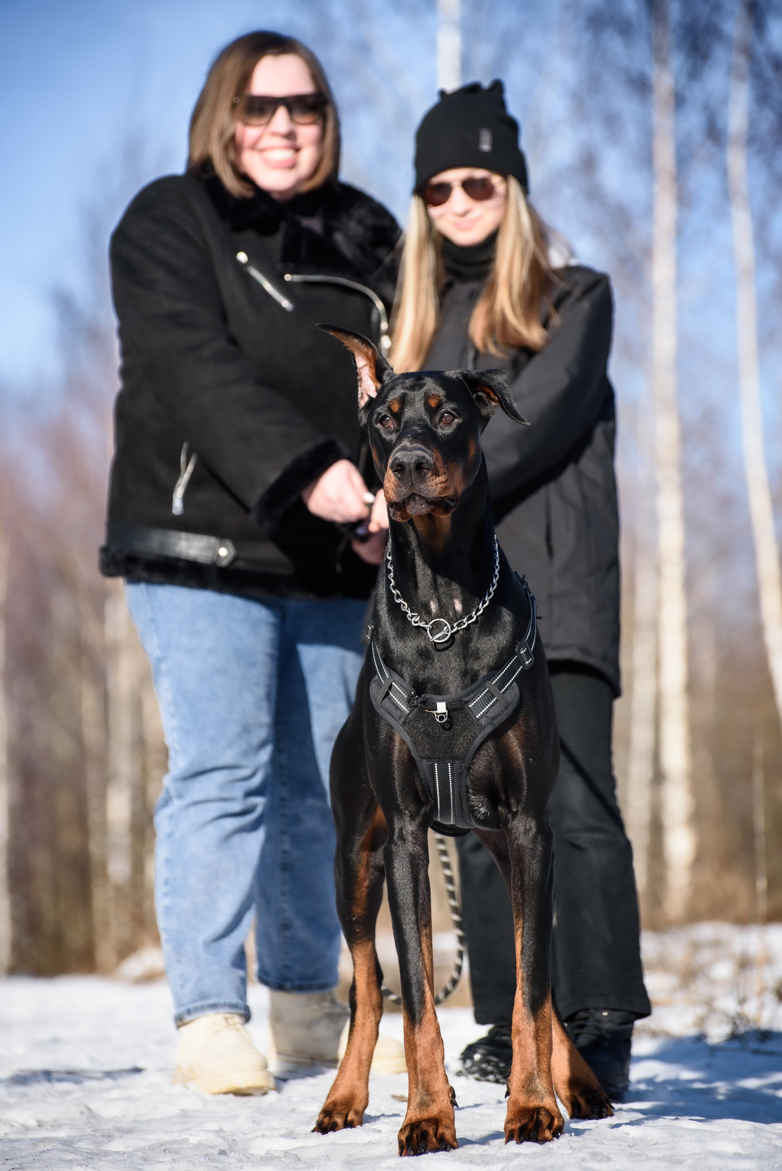 Фотосессию с любимым доберманом. Фотограф Макс Огурцов в Нижнем Новгороде