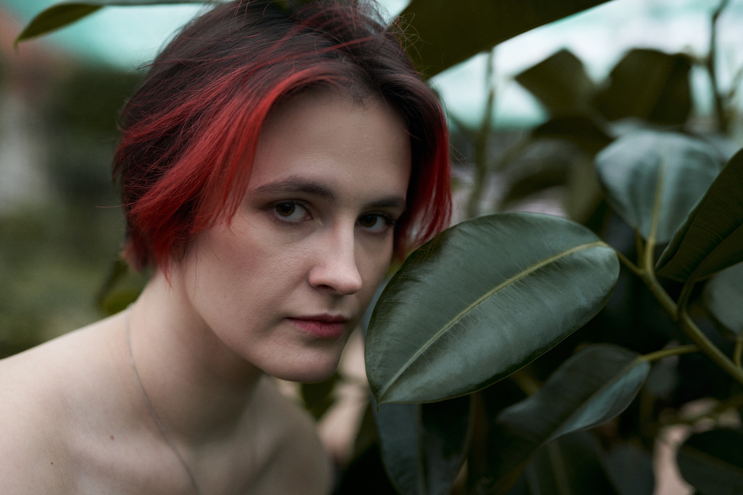 Wild Les. Александр Сазонов Красноярск