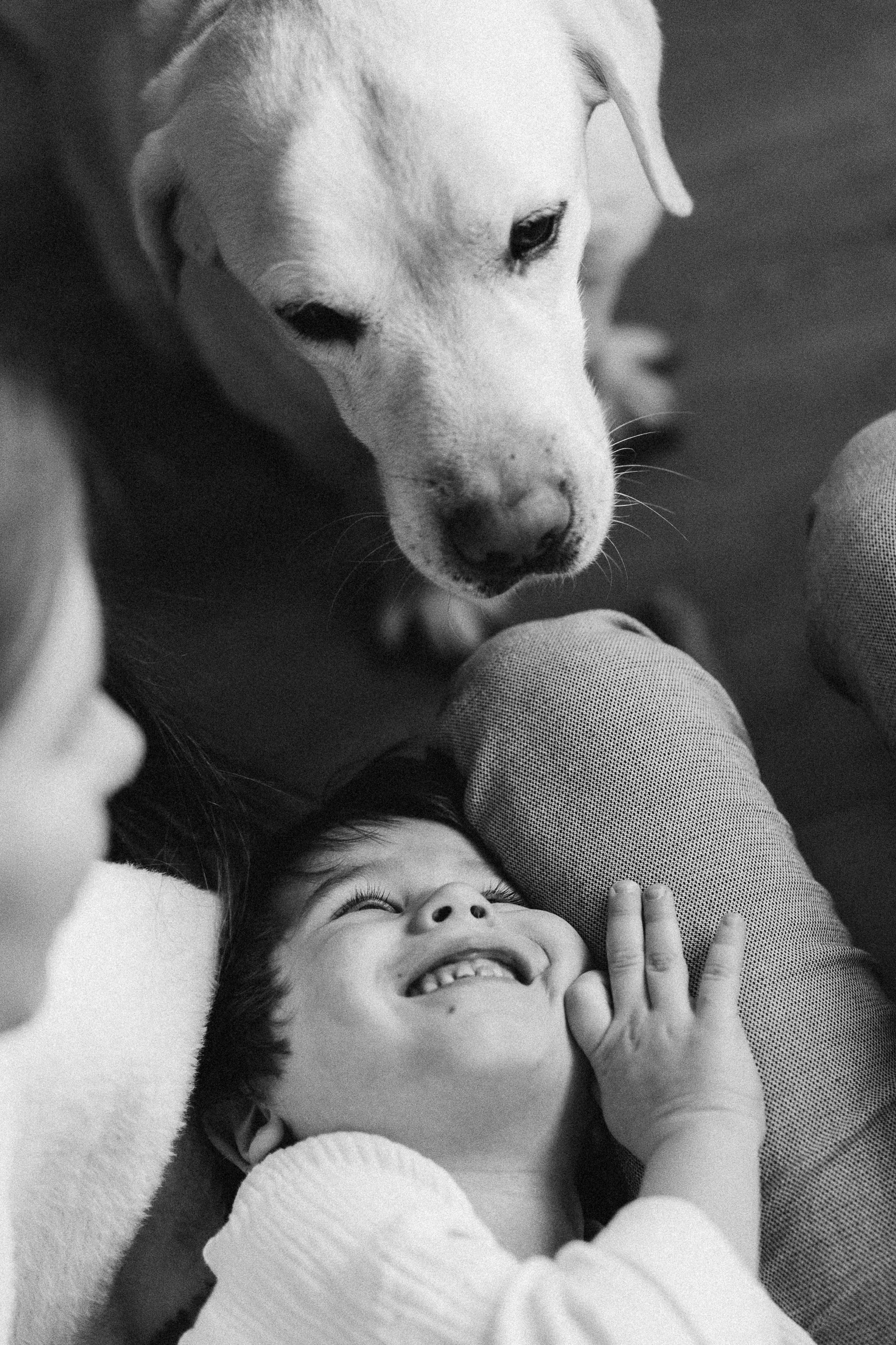 Обучение. Семейный фотограф в Челябинске Волченко Ксения