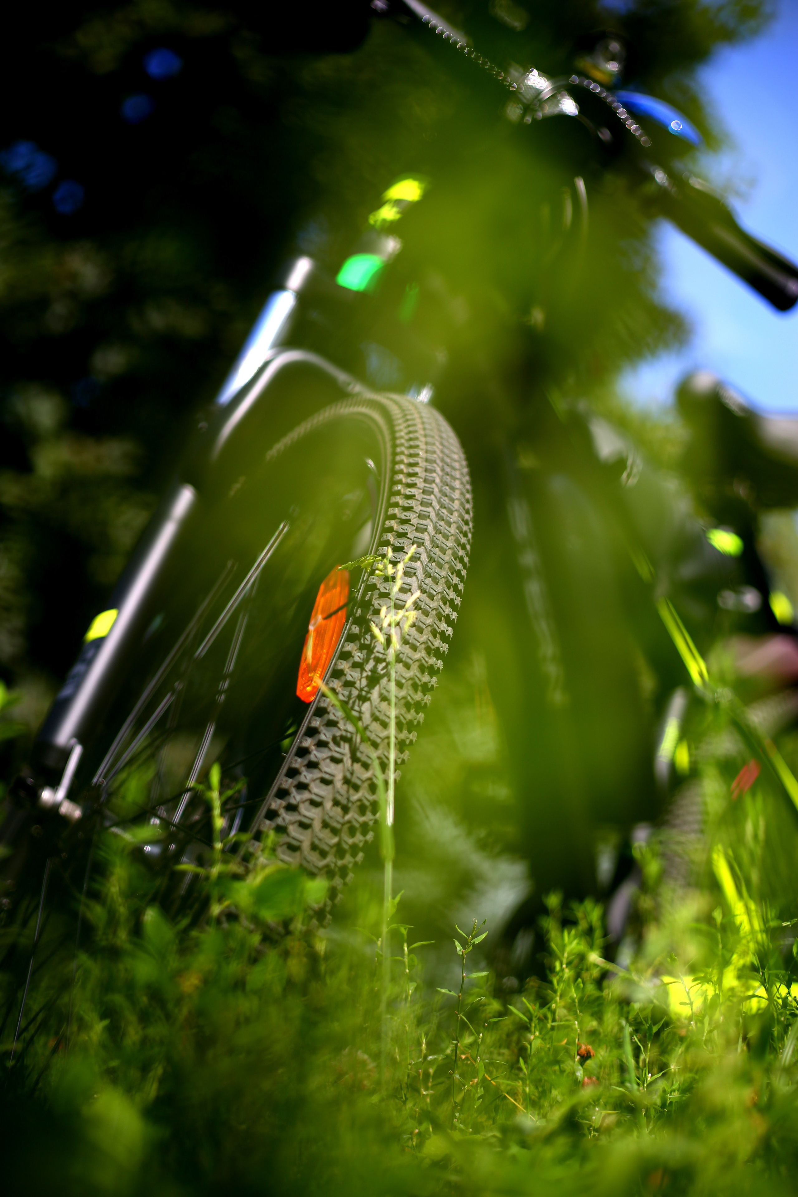Александр. Фотограф Сергей Мединов