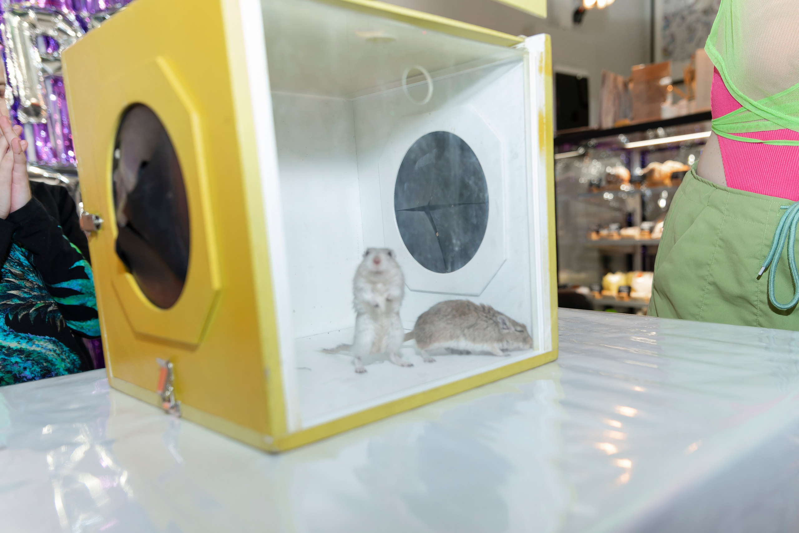 День рождения. Фотограф Москва Софа Ревчук