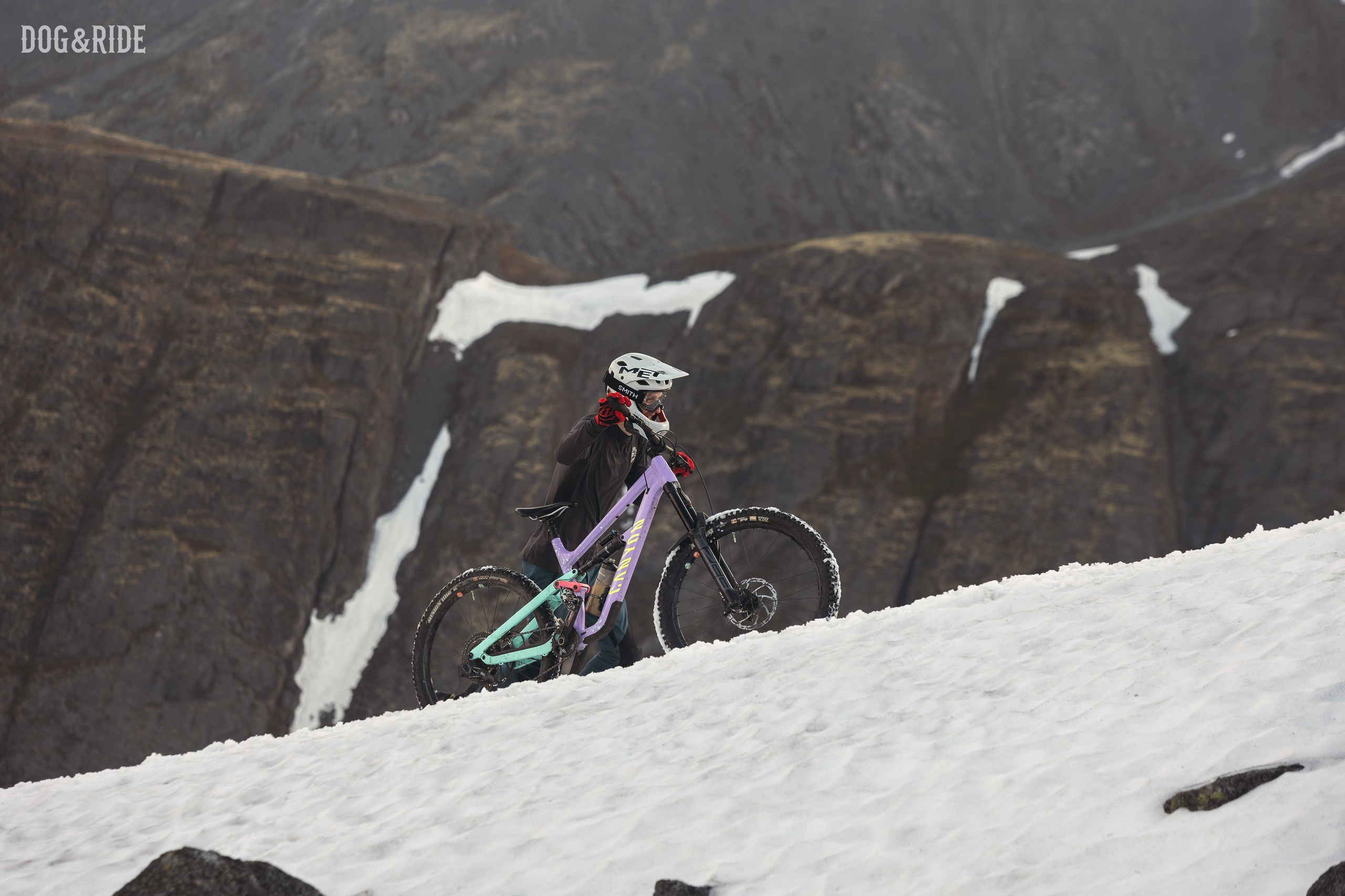 Хибины. Фотограф анималист Никита Натальный