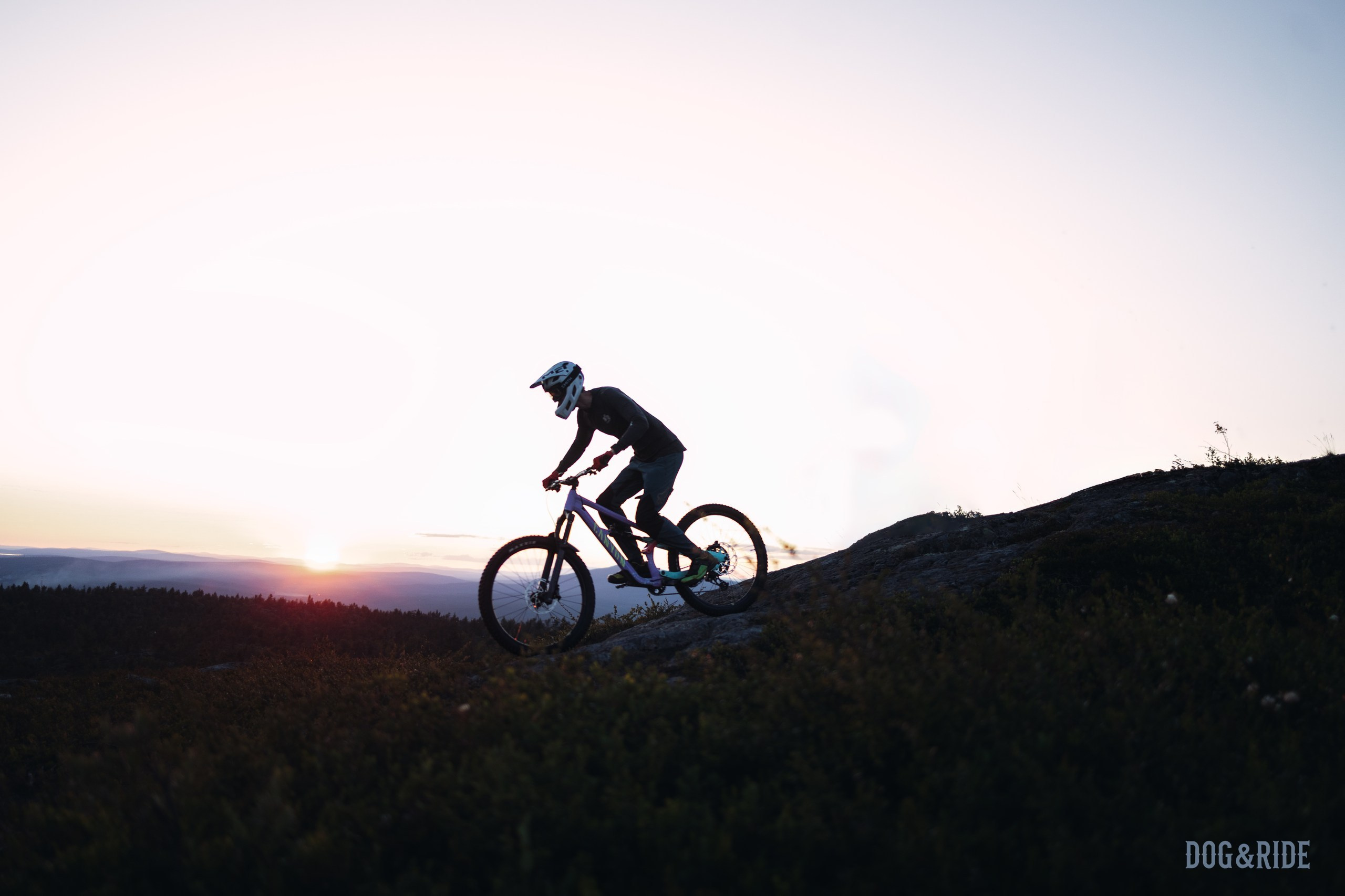 Кандалакшка. Фотограф анималист Никита Натальный