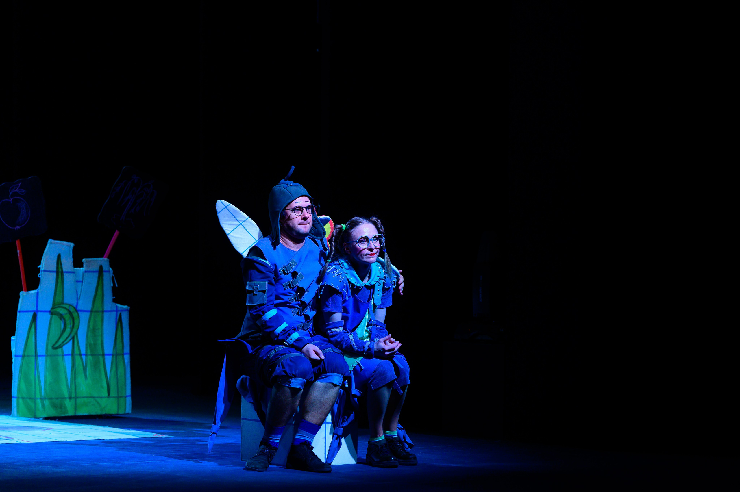 Муха Цокотуха. Фотоуслуги, услуги фотографа, фотографирование важных событий