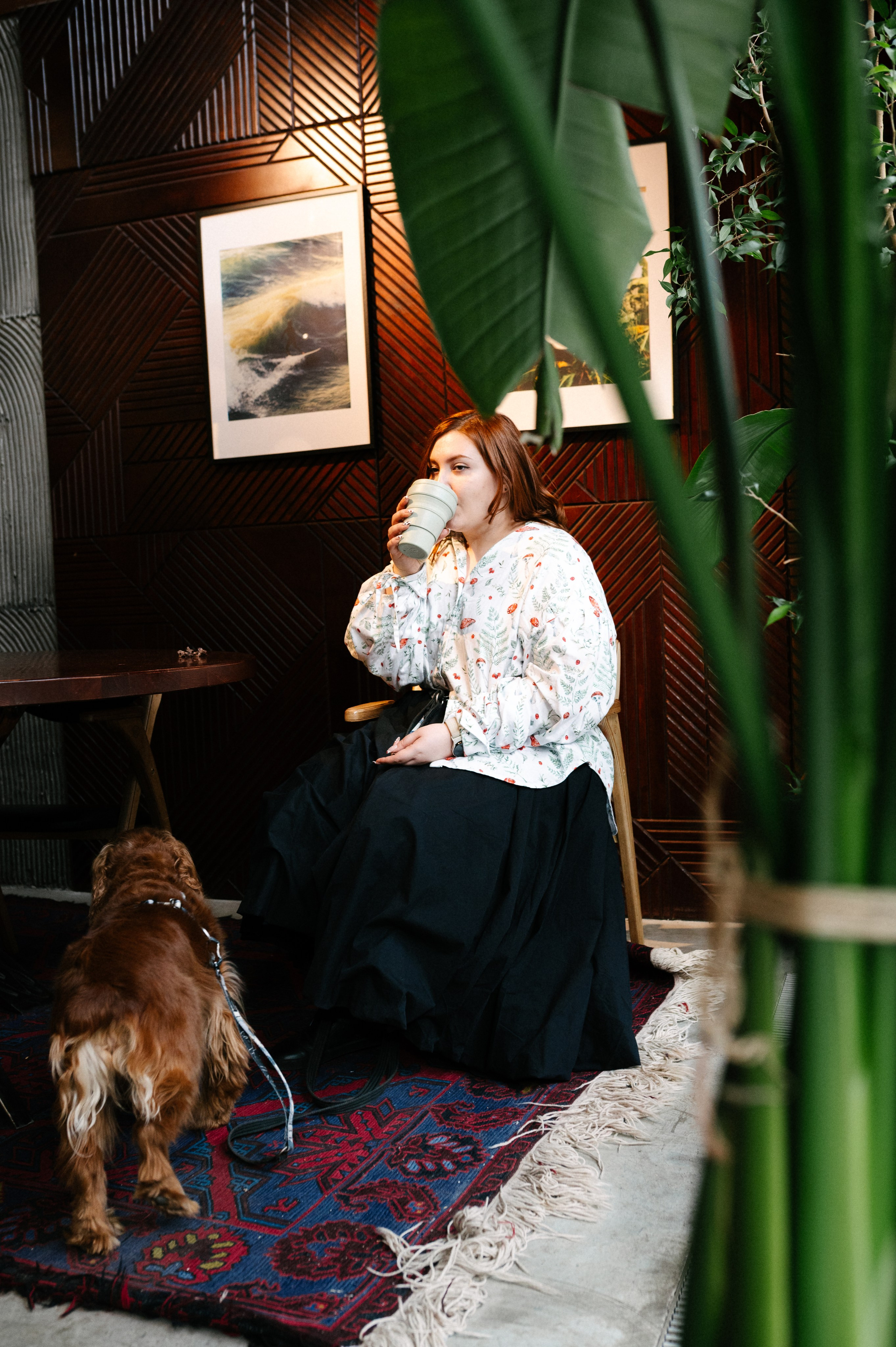 Рыжая команда. Фотограф анималист в Москве Ольга Агушева