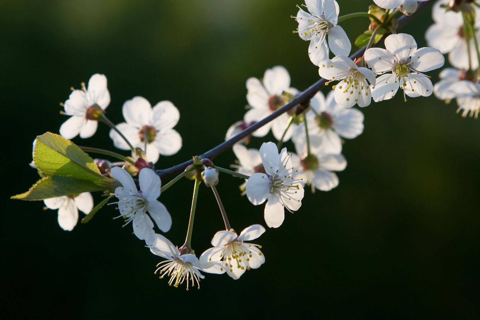 Природа. Кучеров Евгений. Фотограф