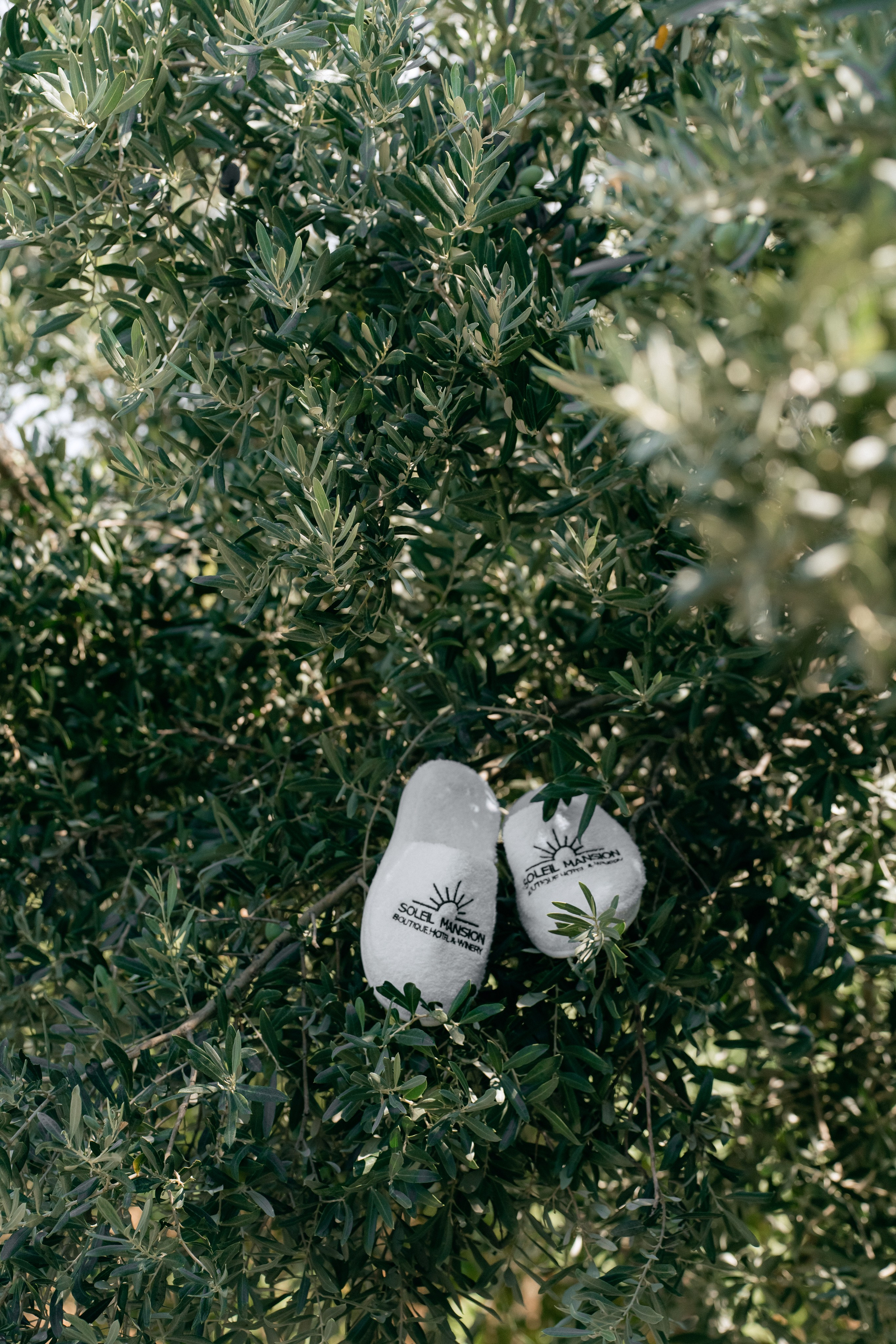 Sunshine in Izmir. Wedding & Documentary Photographer based in Nuremberg — available across Europe & Turkey | Vitalii Nasonov