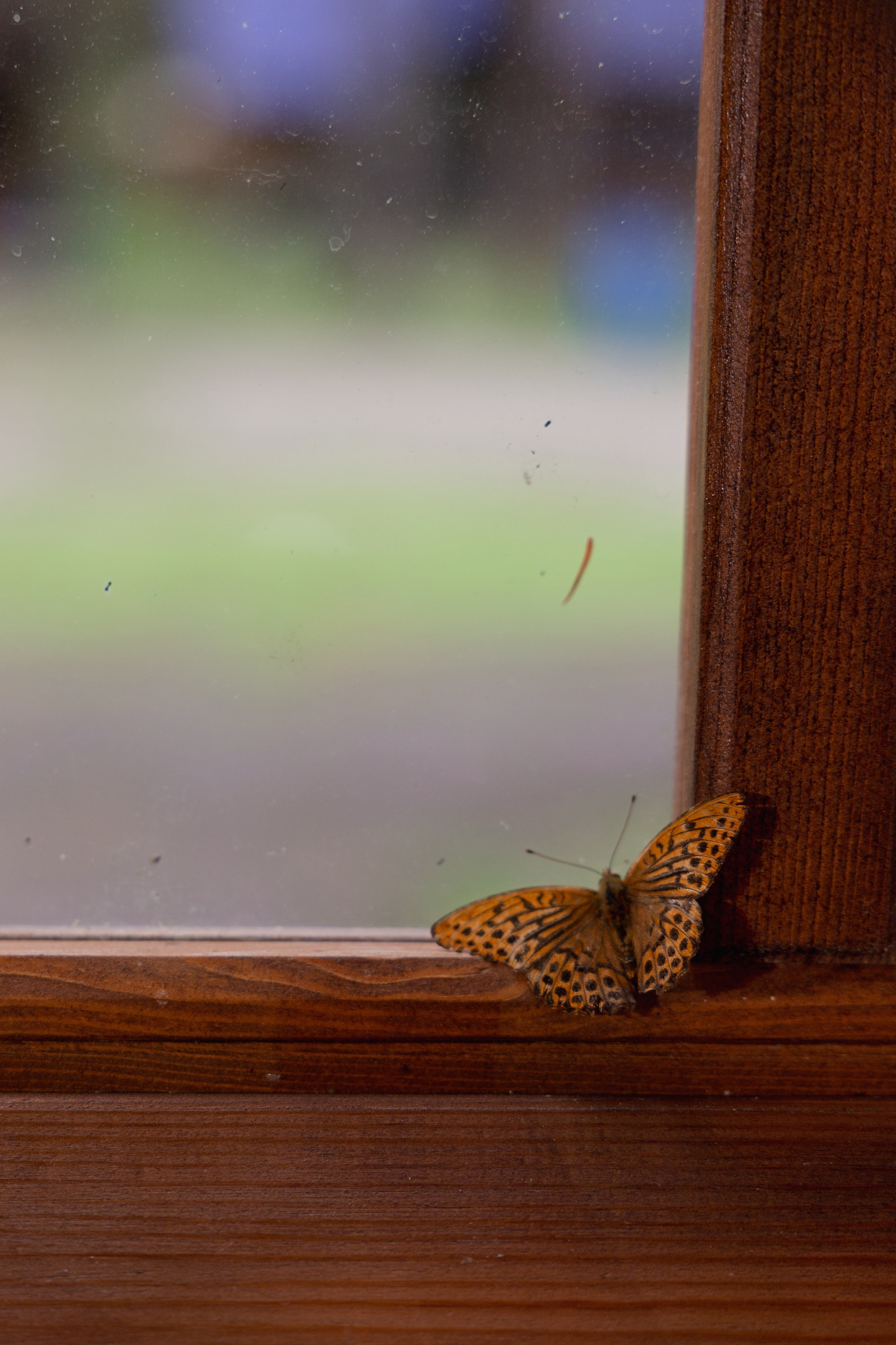 Примеры свадебных съемок. Свадебный фотограф Абакан | Хакасия Никита Бережной