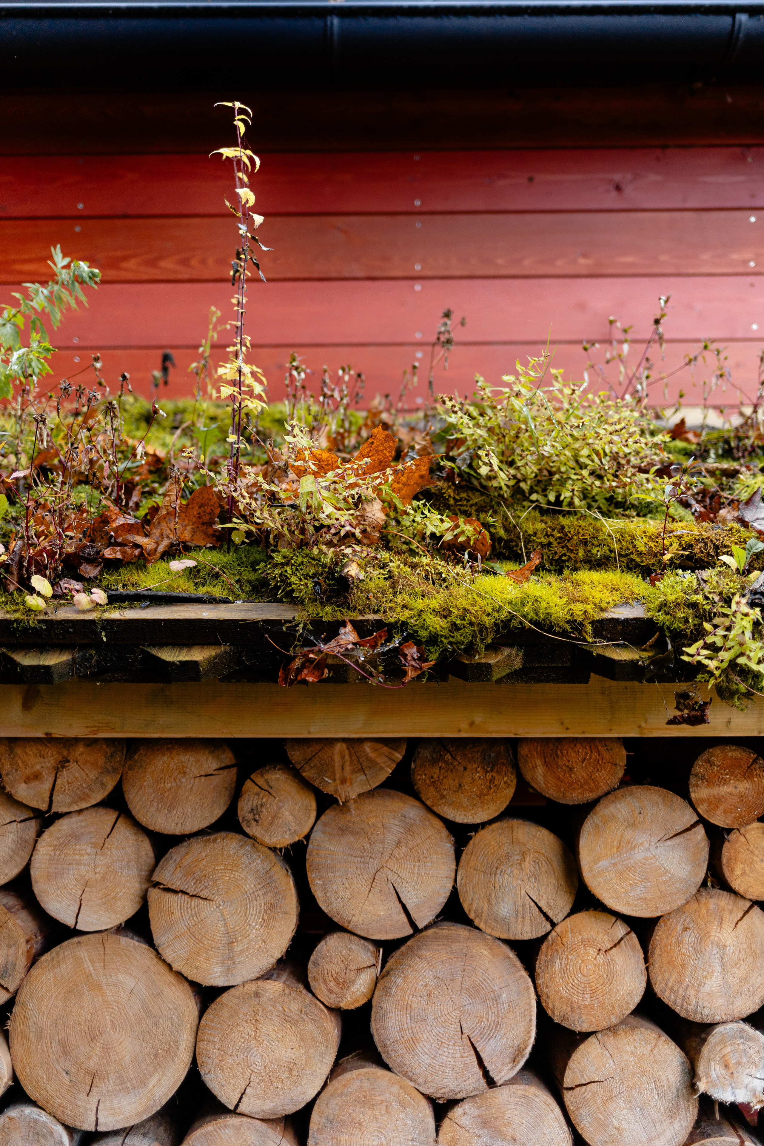 Маленькое начало большого проекта. Портретный фотограф в Минске Анна Волейко
