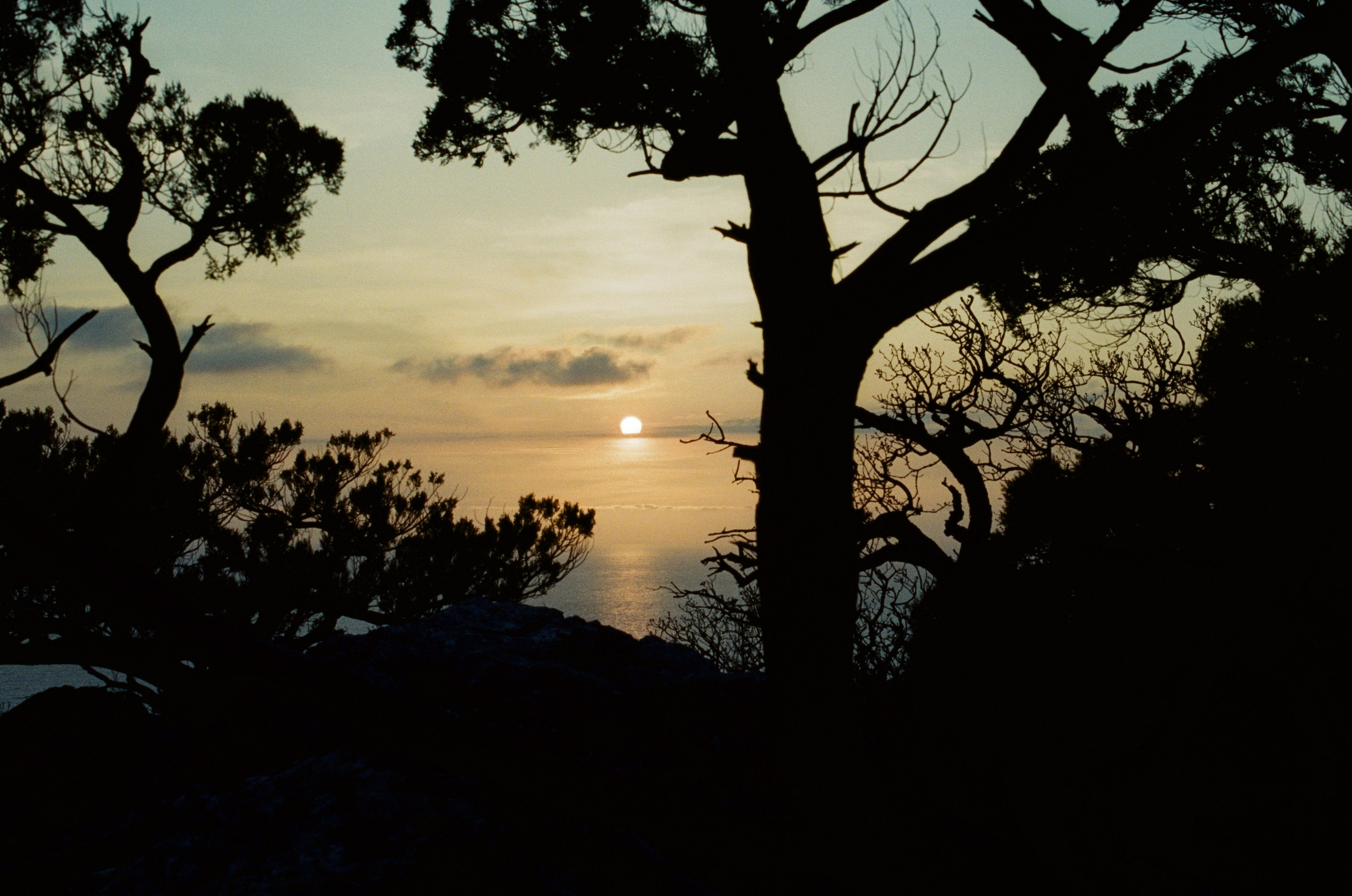 Some kind of madness // ukraine, crimea II. EVER EXPOSED