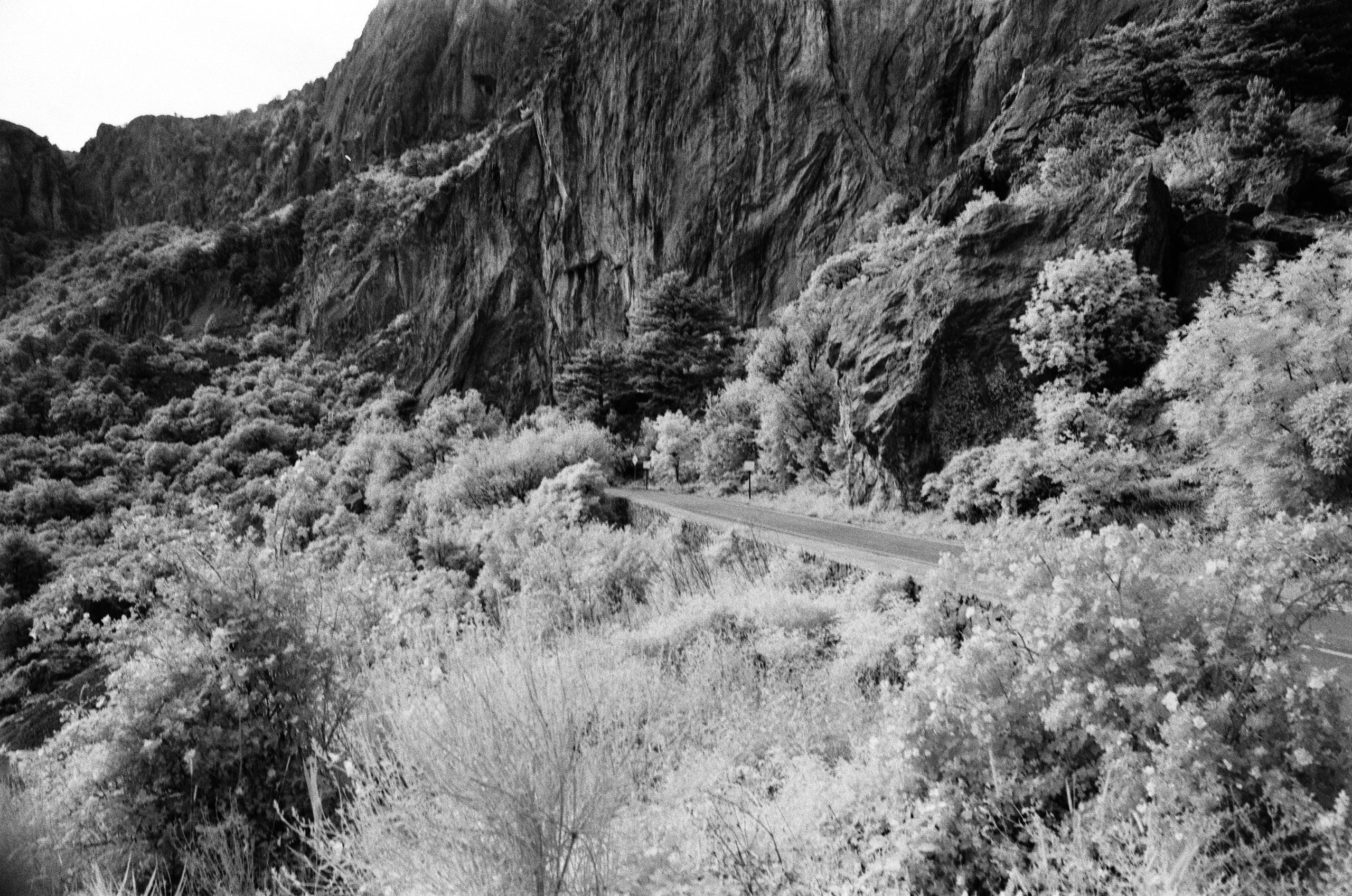 Point of no reply // ukraine, crimea IX. EVER EXPOSED