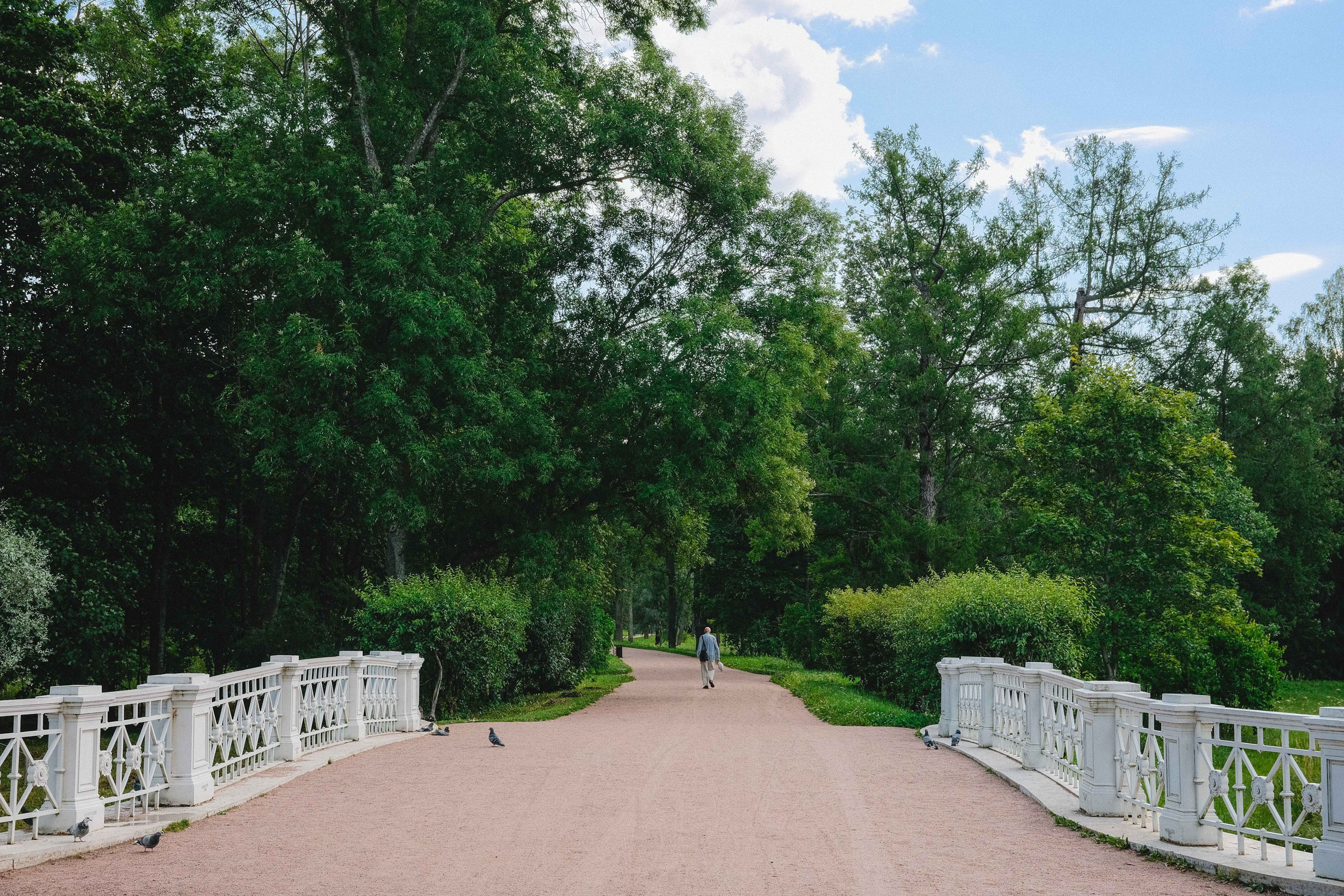 2023.07. Фотограф Алексей Алексеев
