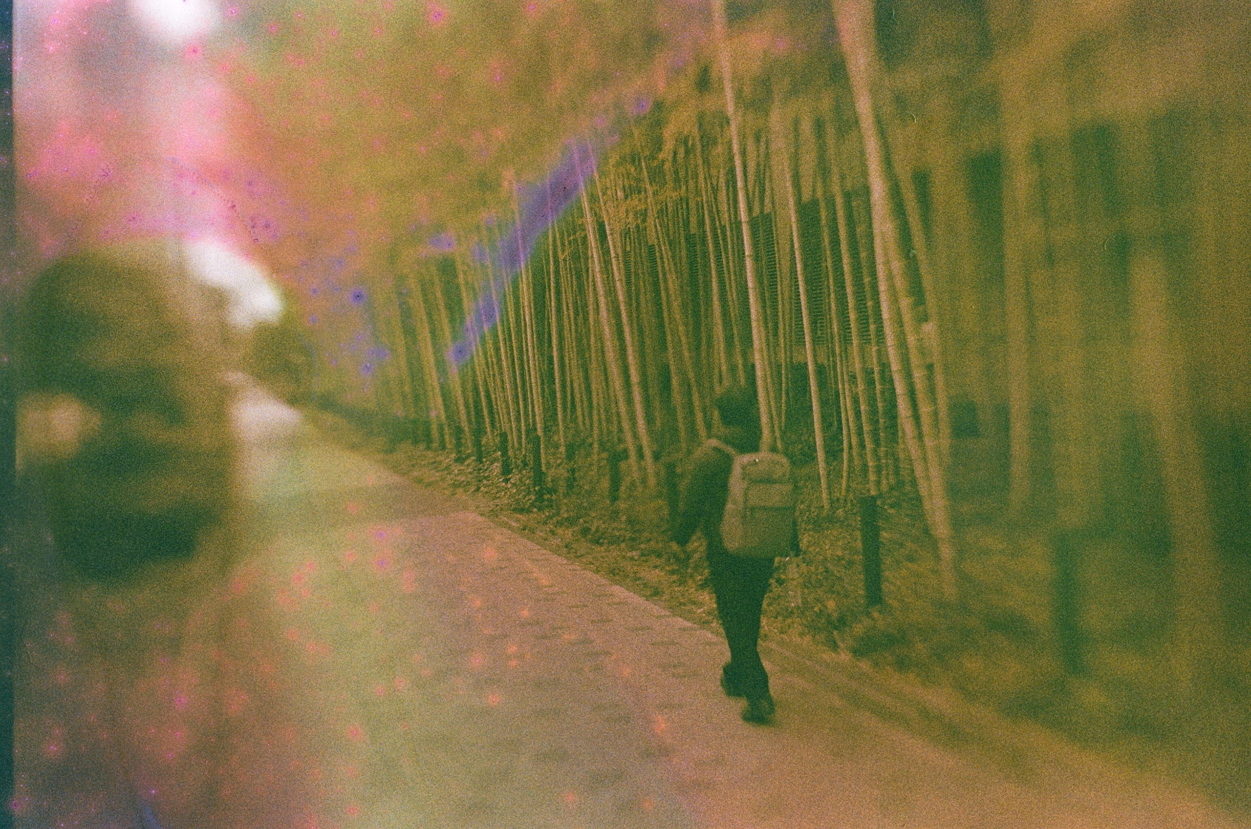 JAPAN FILM. International visual artist