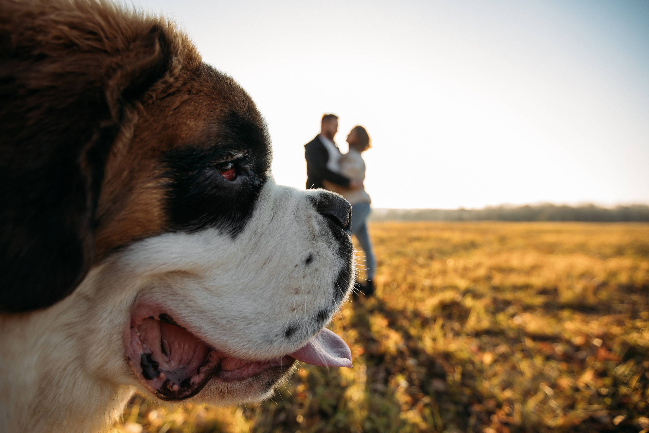 Отзывы. Алексей Зараковский. Свадебный и портретный фотограф в Туле
