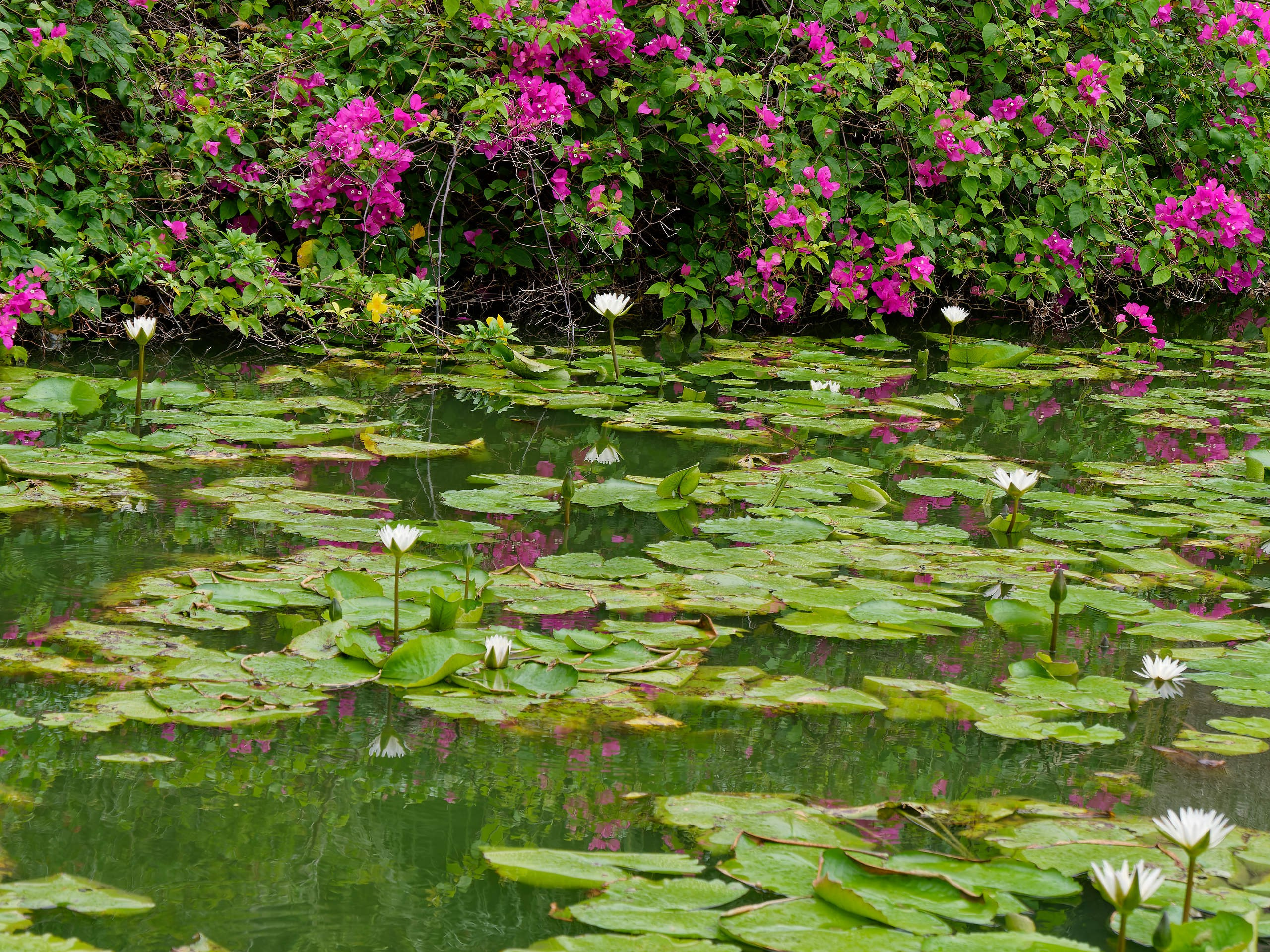 Нячанг 2025 (4). Избранные фотографии