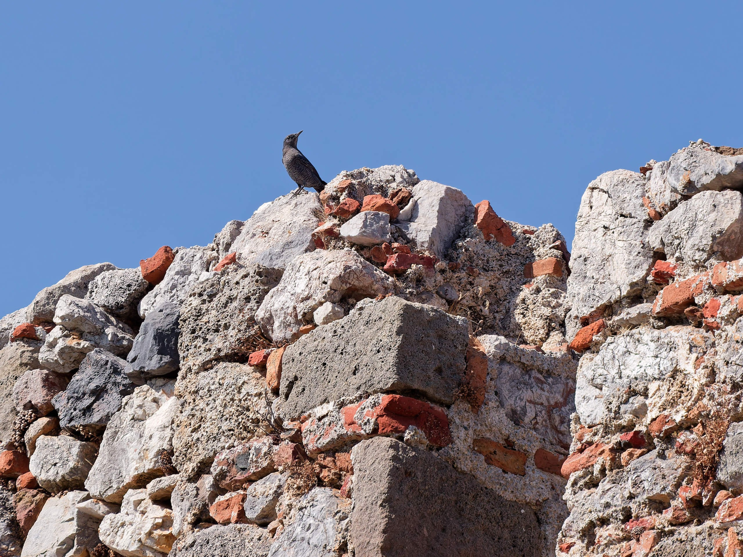 Алания 2025, крепость Alanya Kalesi. Избранные фотографии