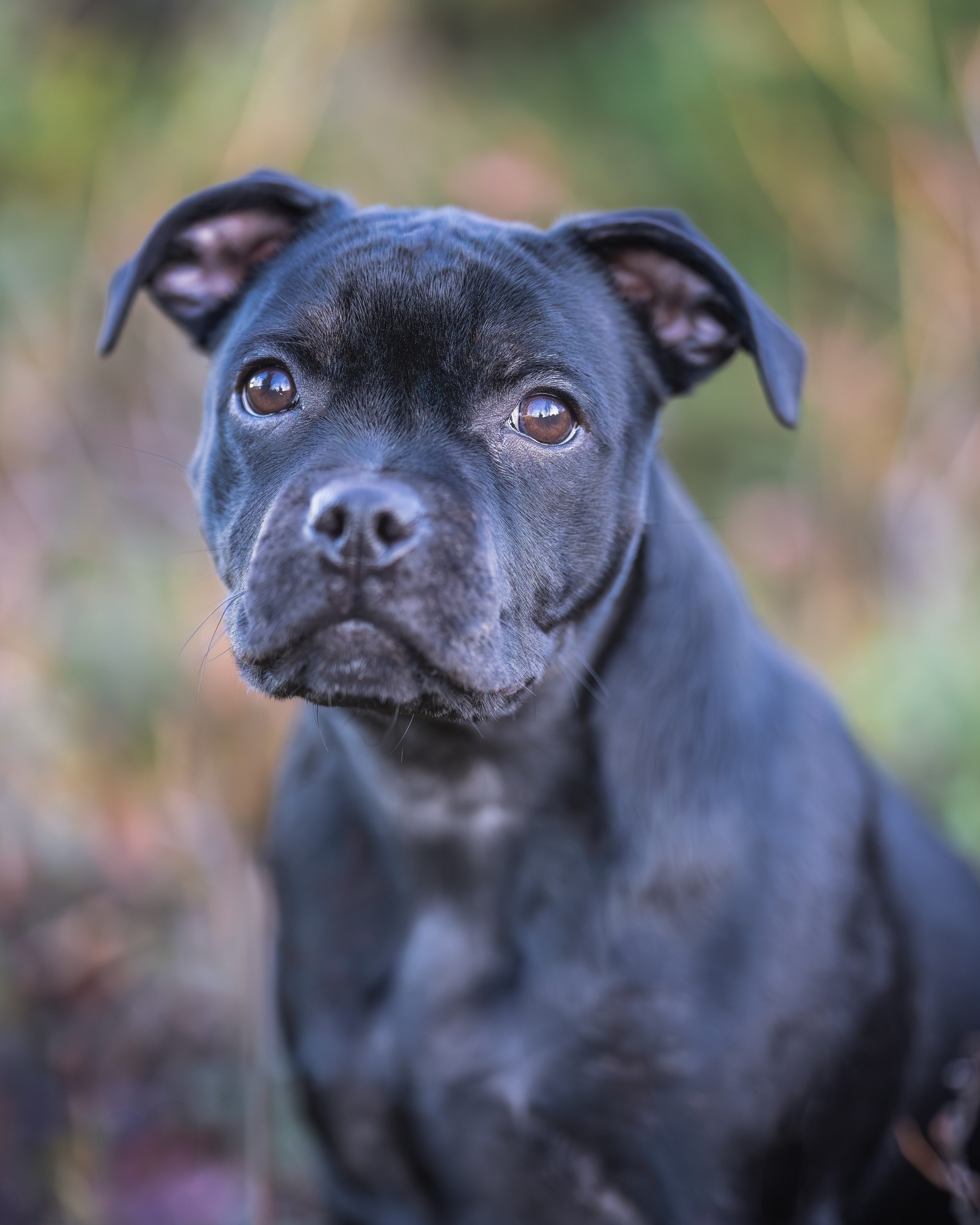 Пуля. Главная