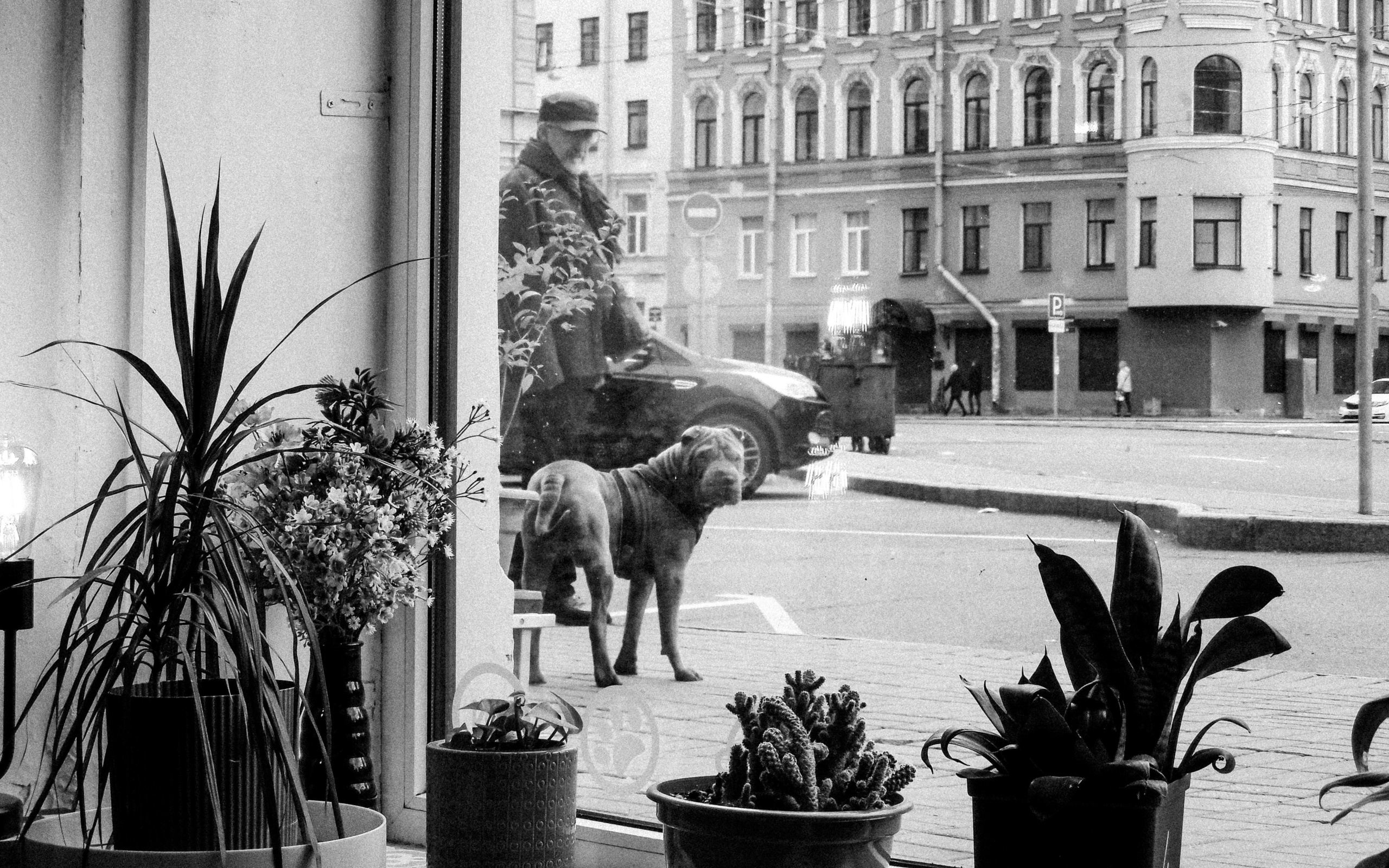 Портреты. Фотограф Анастасия Бондарчук