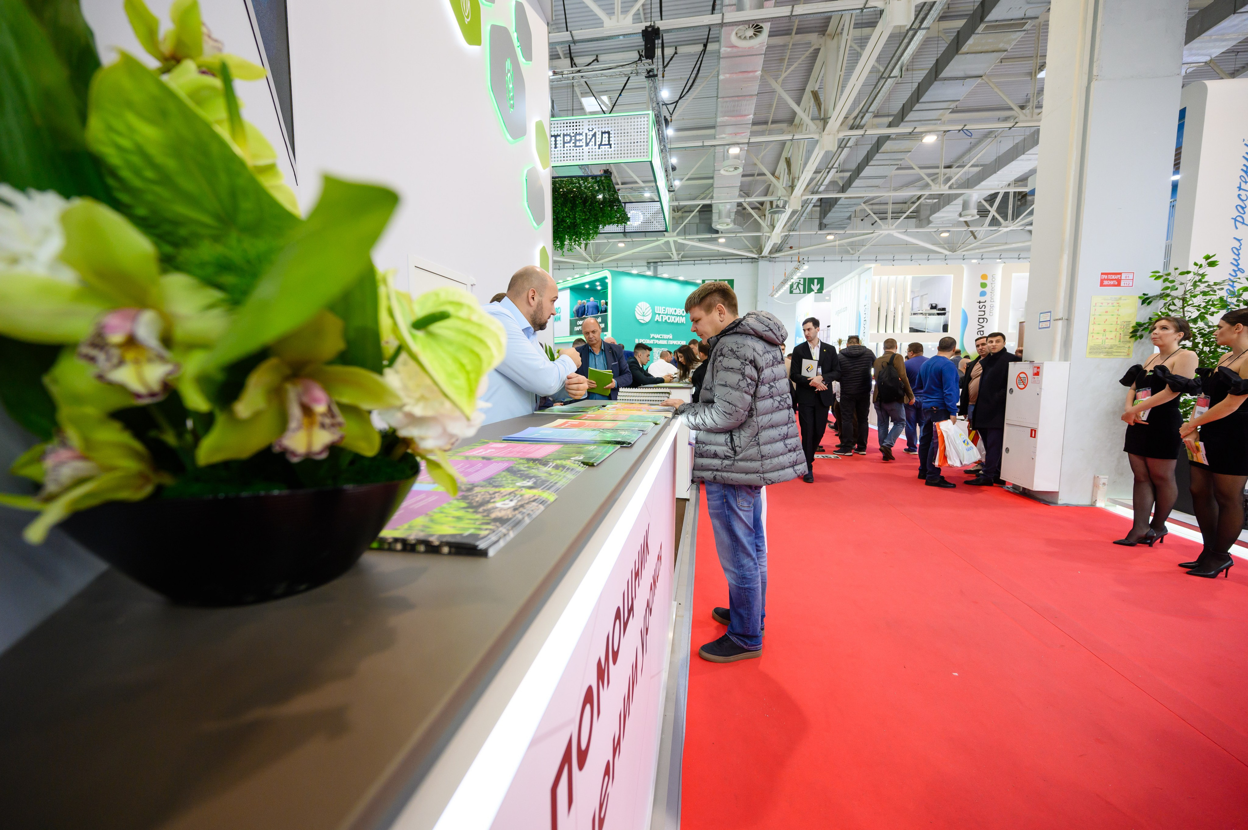 Проекты. Профессиональный фотограф Вячеслав Плацында | Липецк |