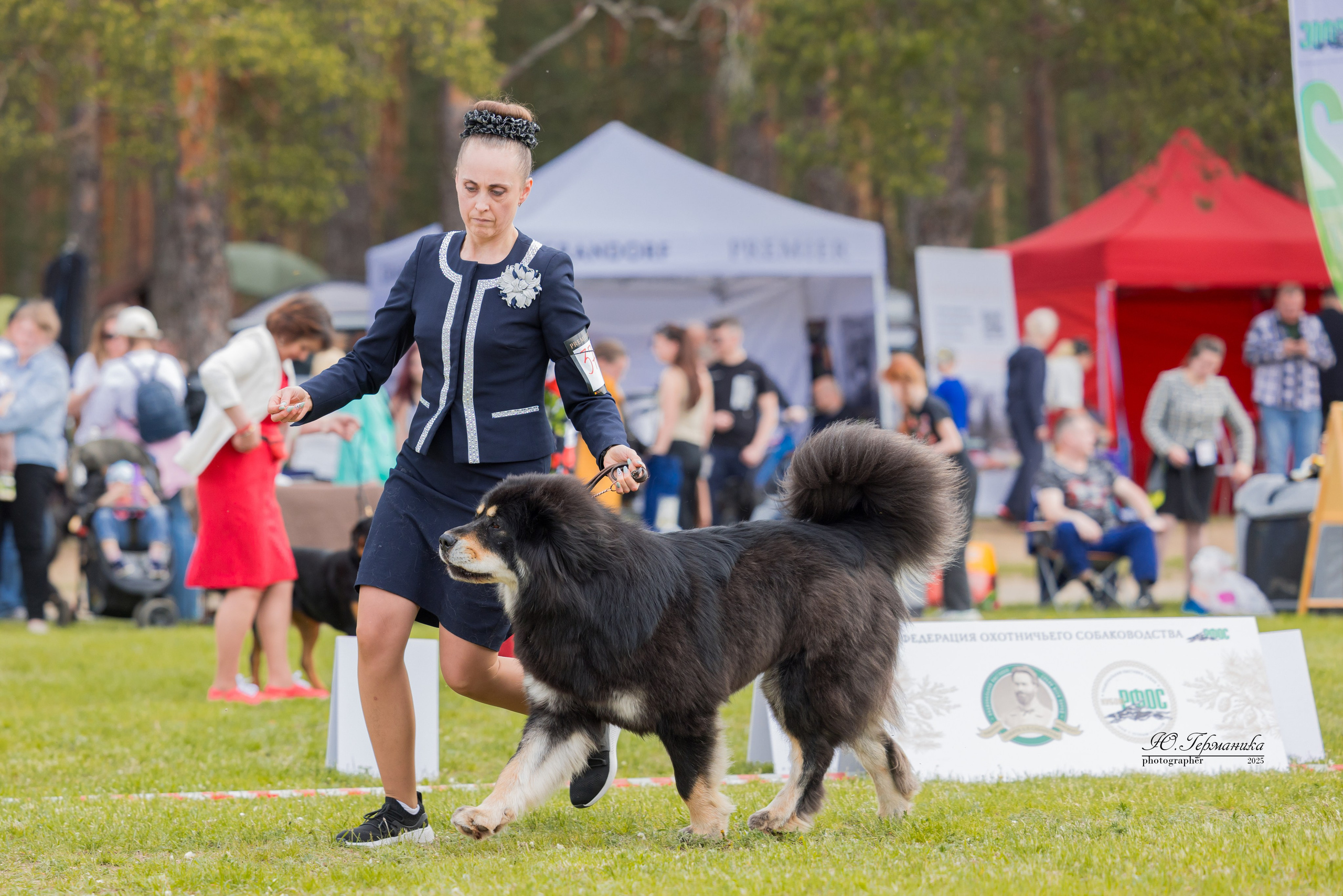 Суздаль(Владимир)17-18.05.2025. Фотограф-анималист Юлия Германика