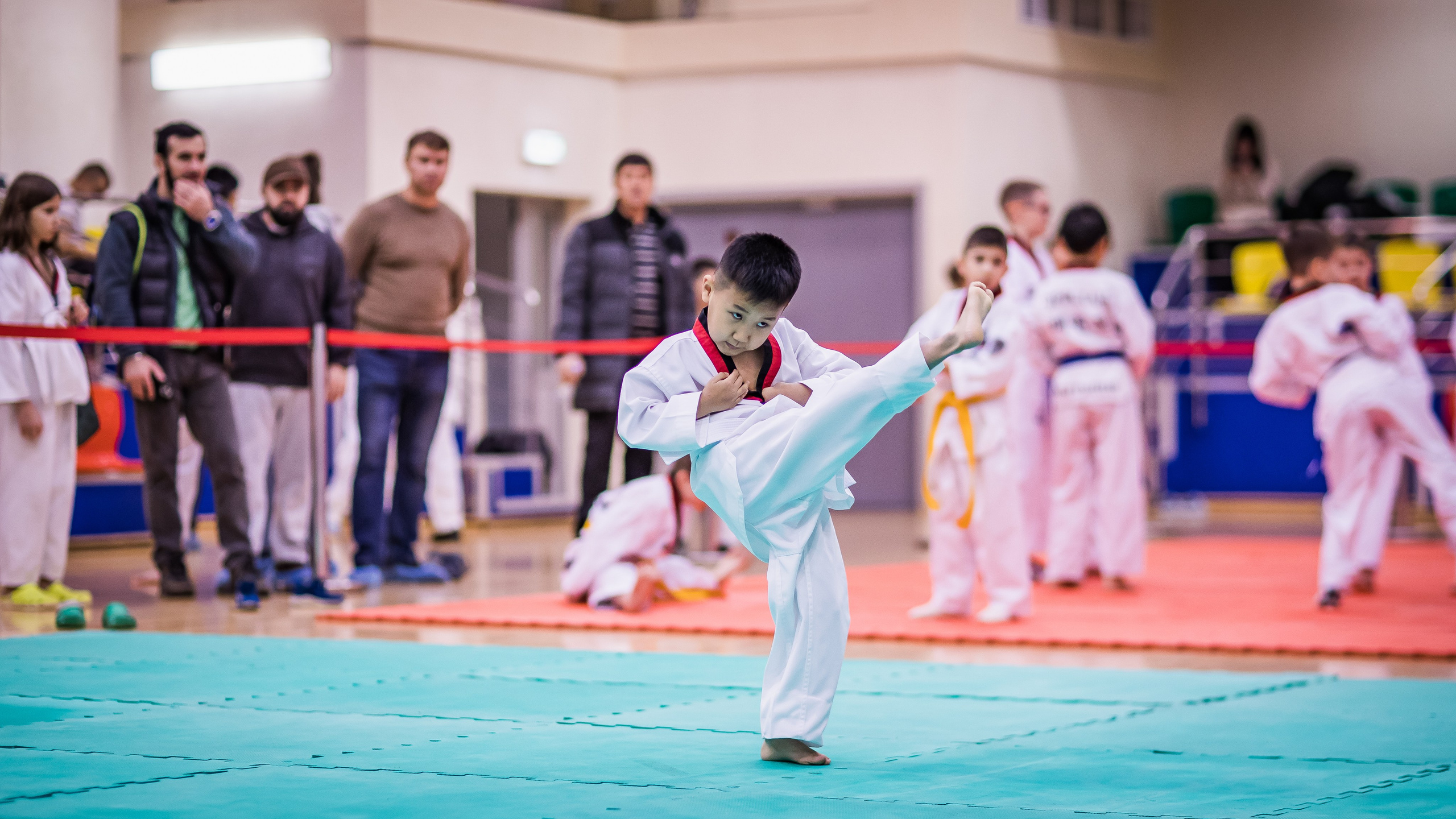 Турнир Федерации детского тхэквондо России по дисциплине ПХУМСЭ. Спортивный фотограф Максим Серегин