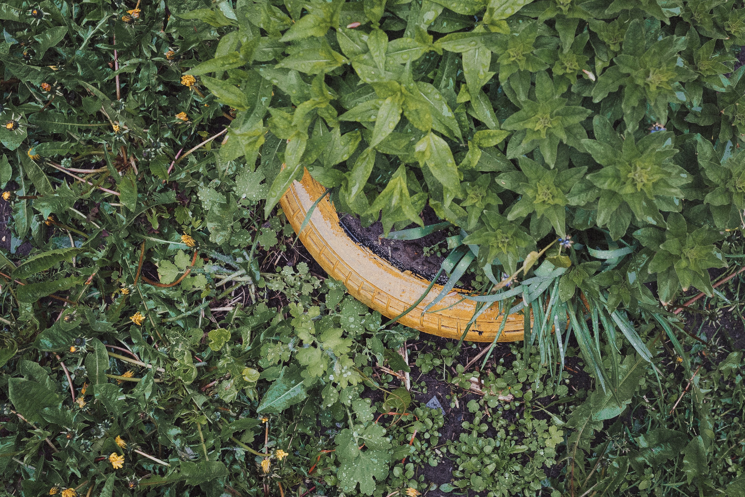 Фотопроект «ЯШина». Документальный фотограф Илья Тихановский