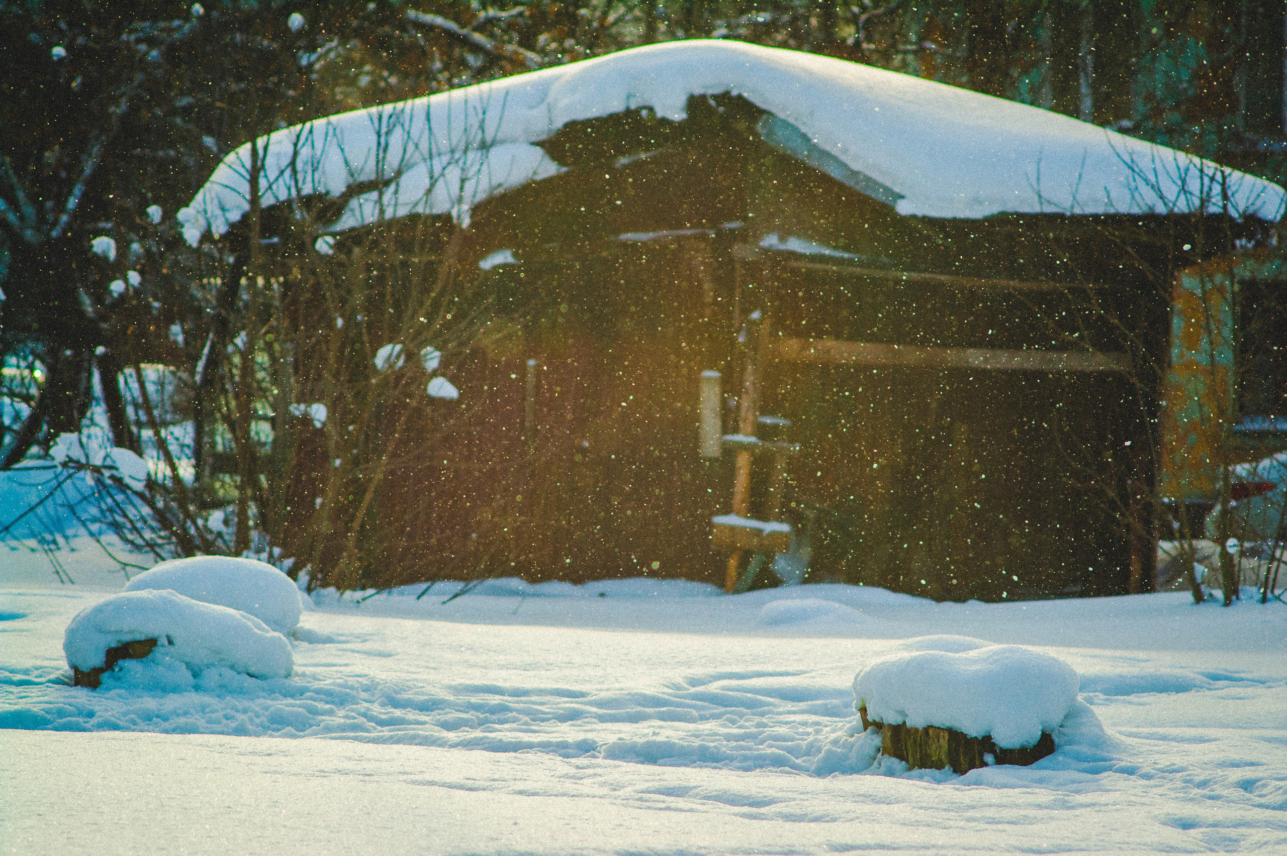 Обед. Den Mirov — Фотограф, Музыкант