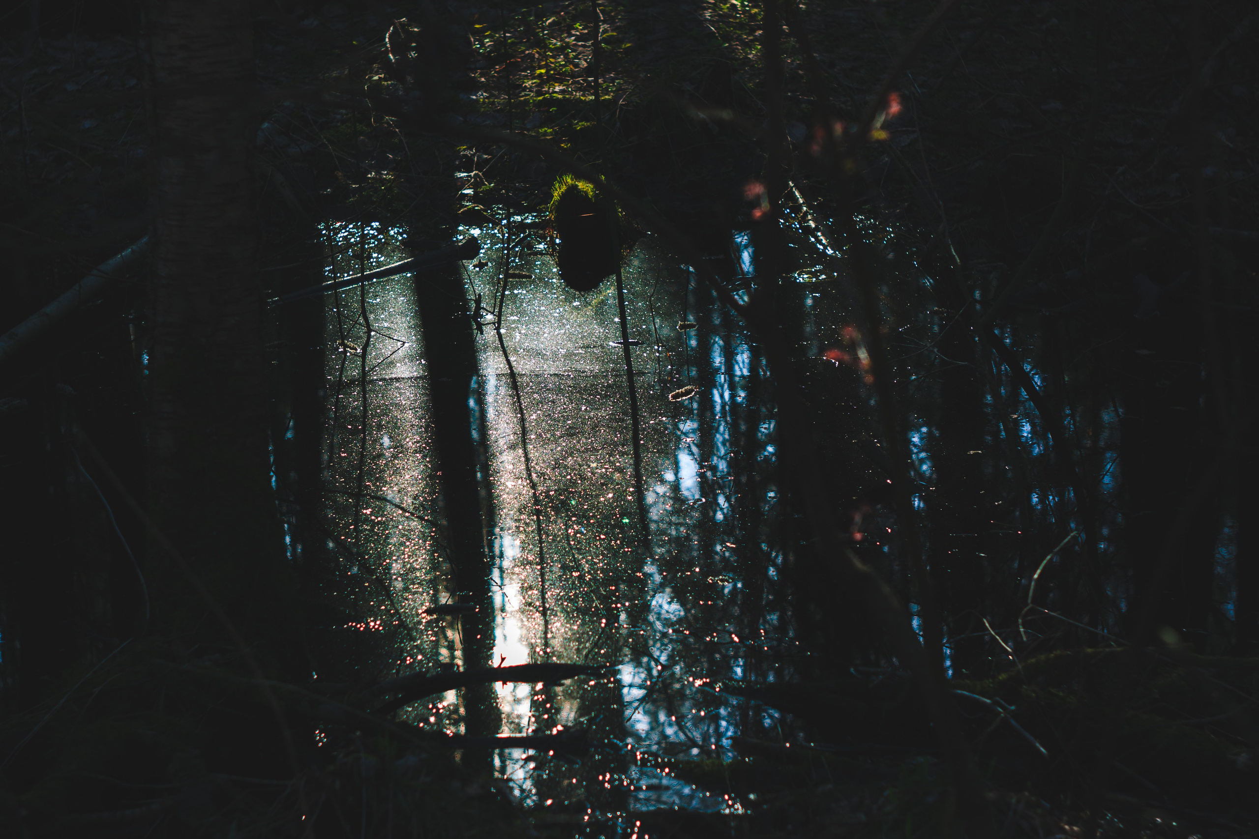 Пара… ПараПам. Den Mirov — Фотограф, Музыкант