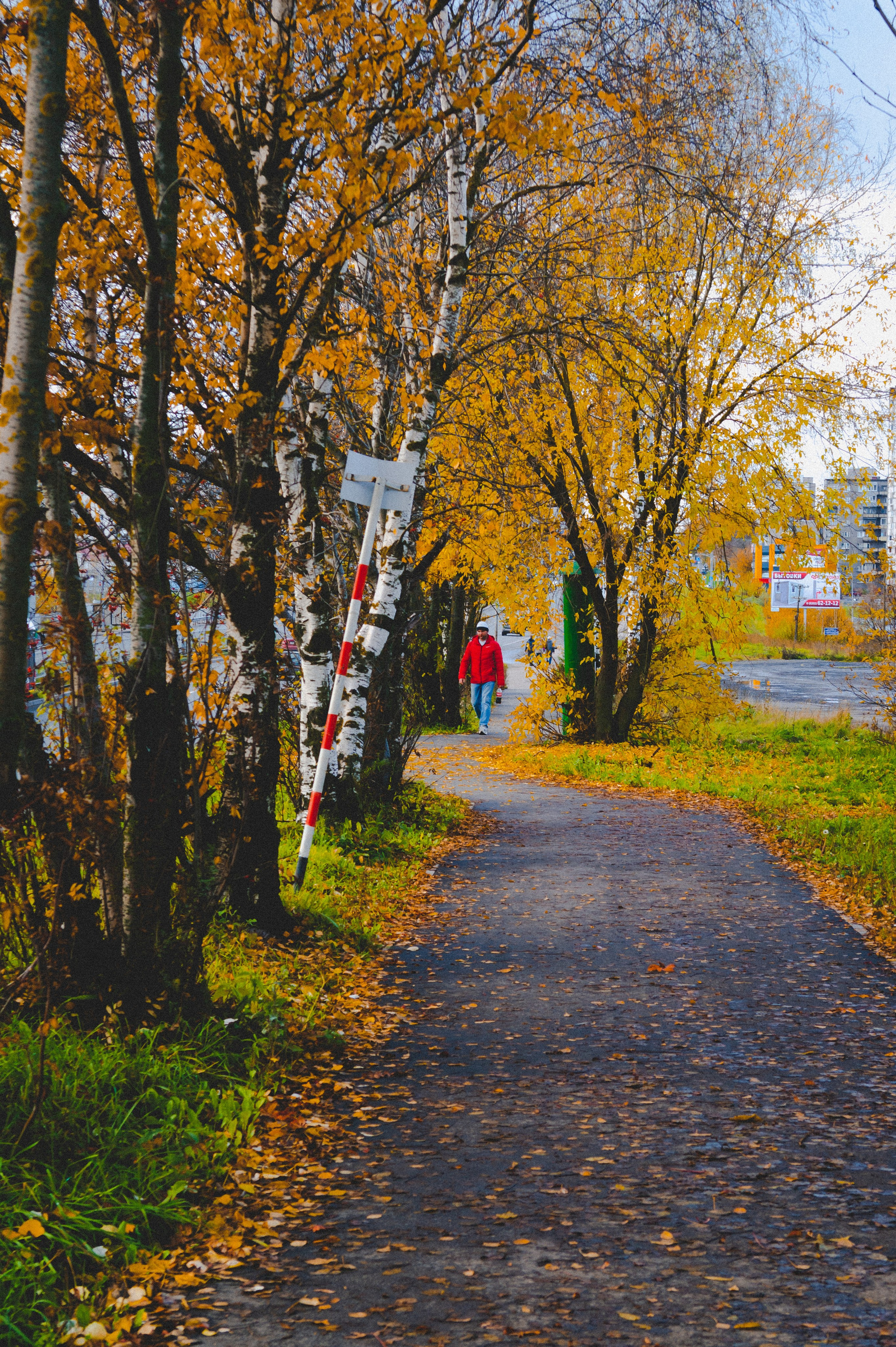 Октябрь 2025. Den Mirov — Фотограф, Музыкант
