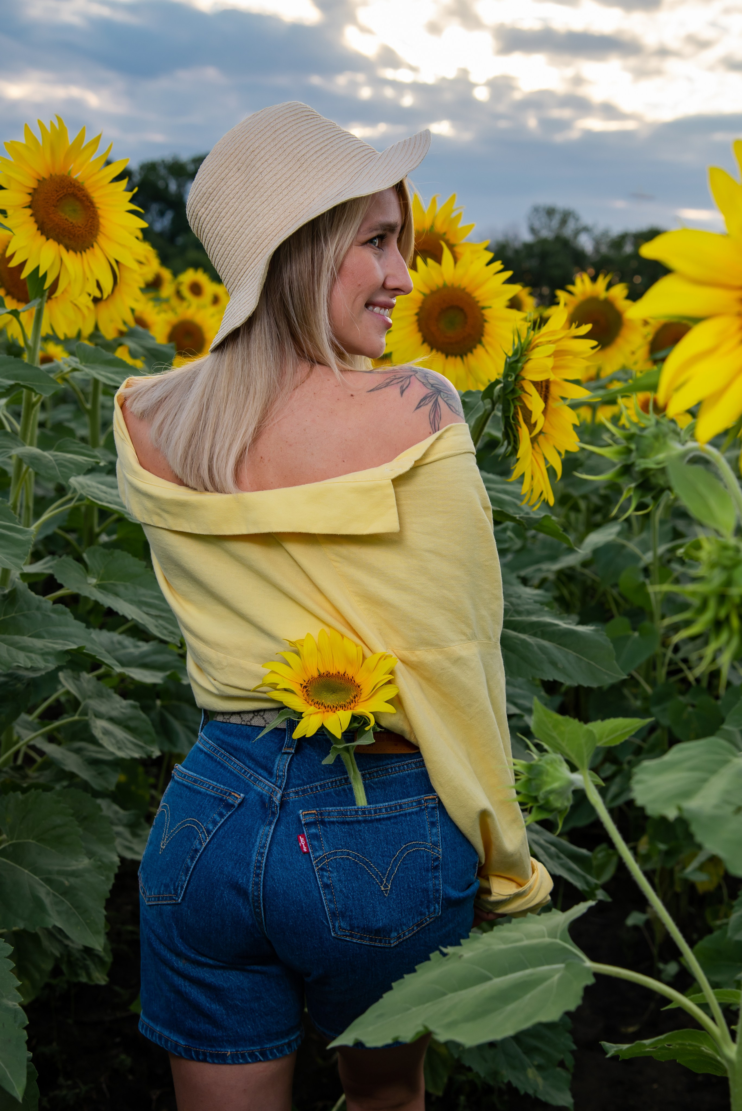 Подсолнух. Фотограф Галина Нестерова