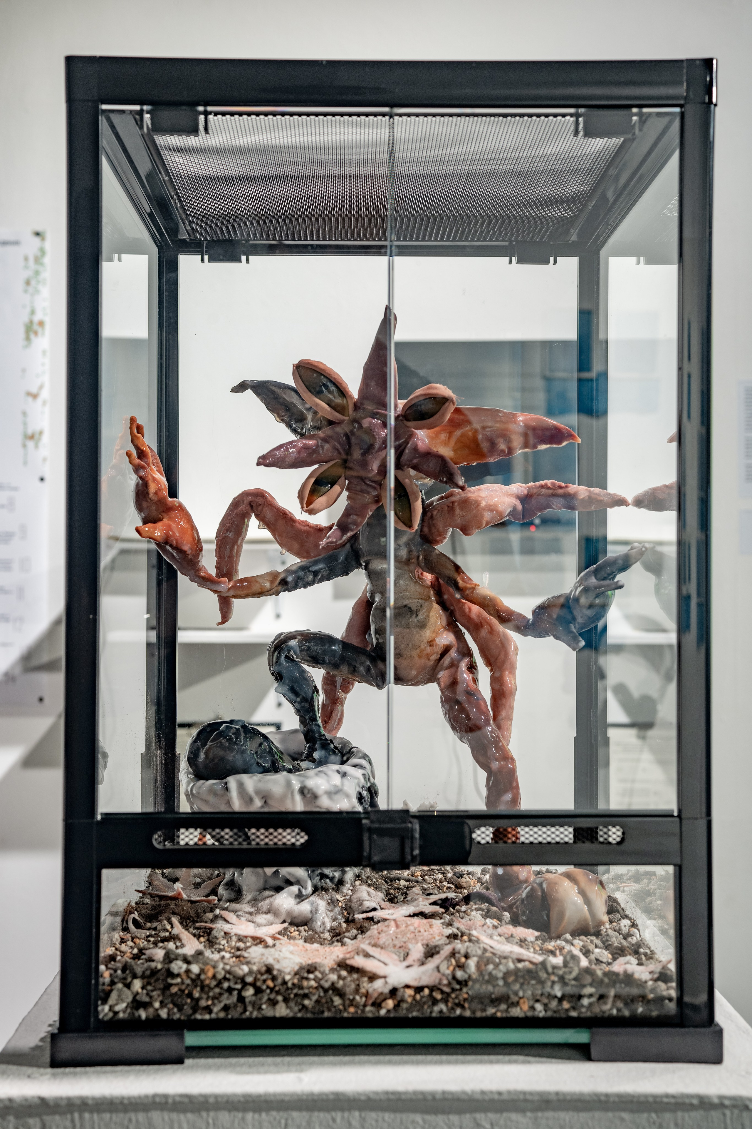 ''Little Cryptid'', 2025. Ksenia Markelova, multidisciplinary artist, Yekaterinburg