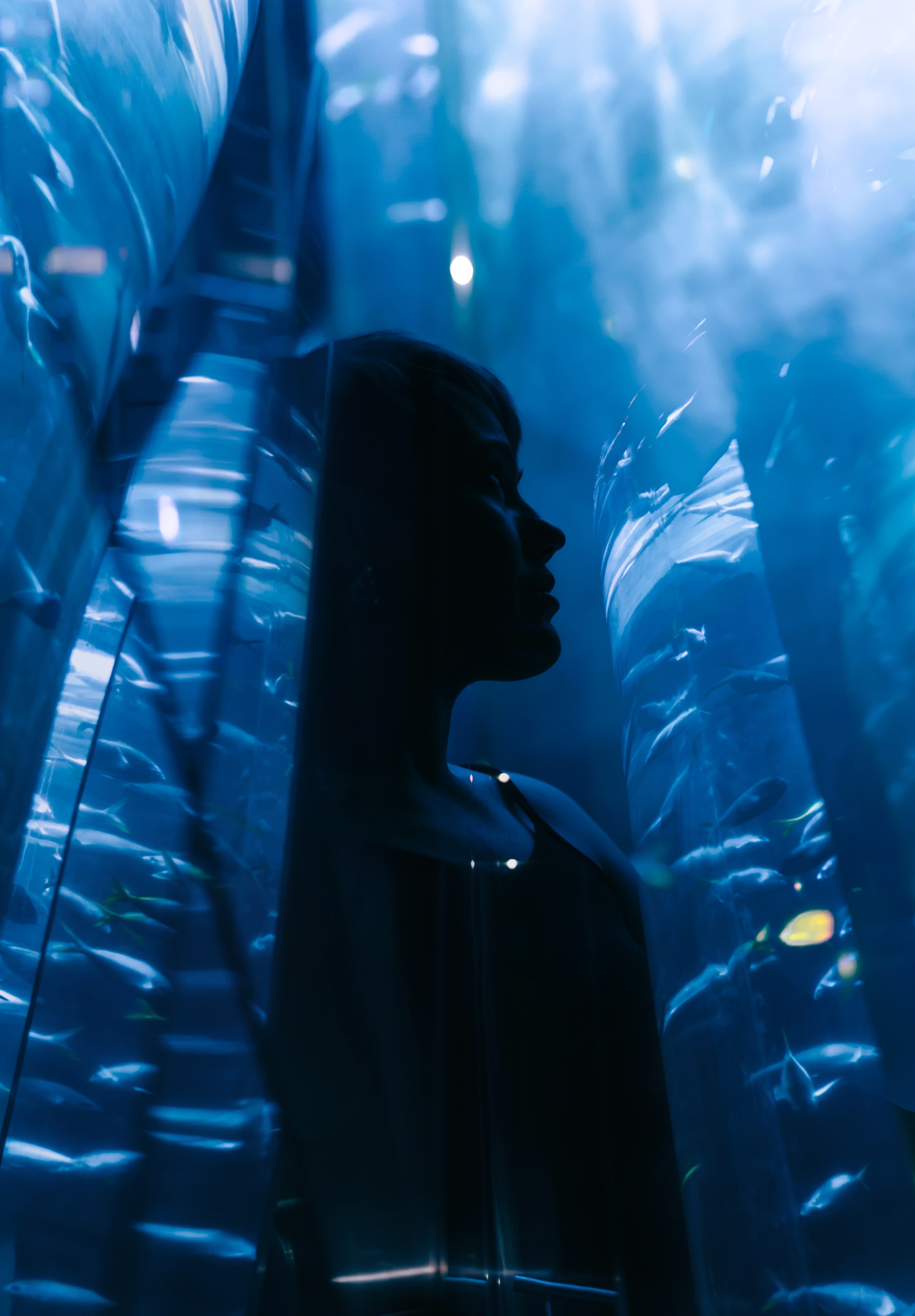 Портфолио. Фотограф и фотохудожник в Санкт-Петербурге Shadow Jane