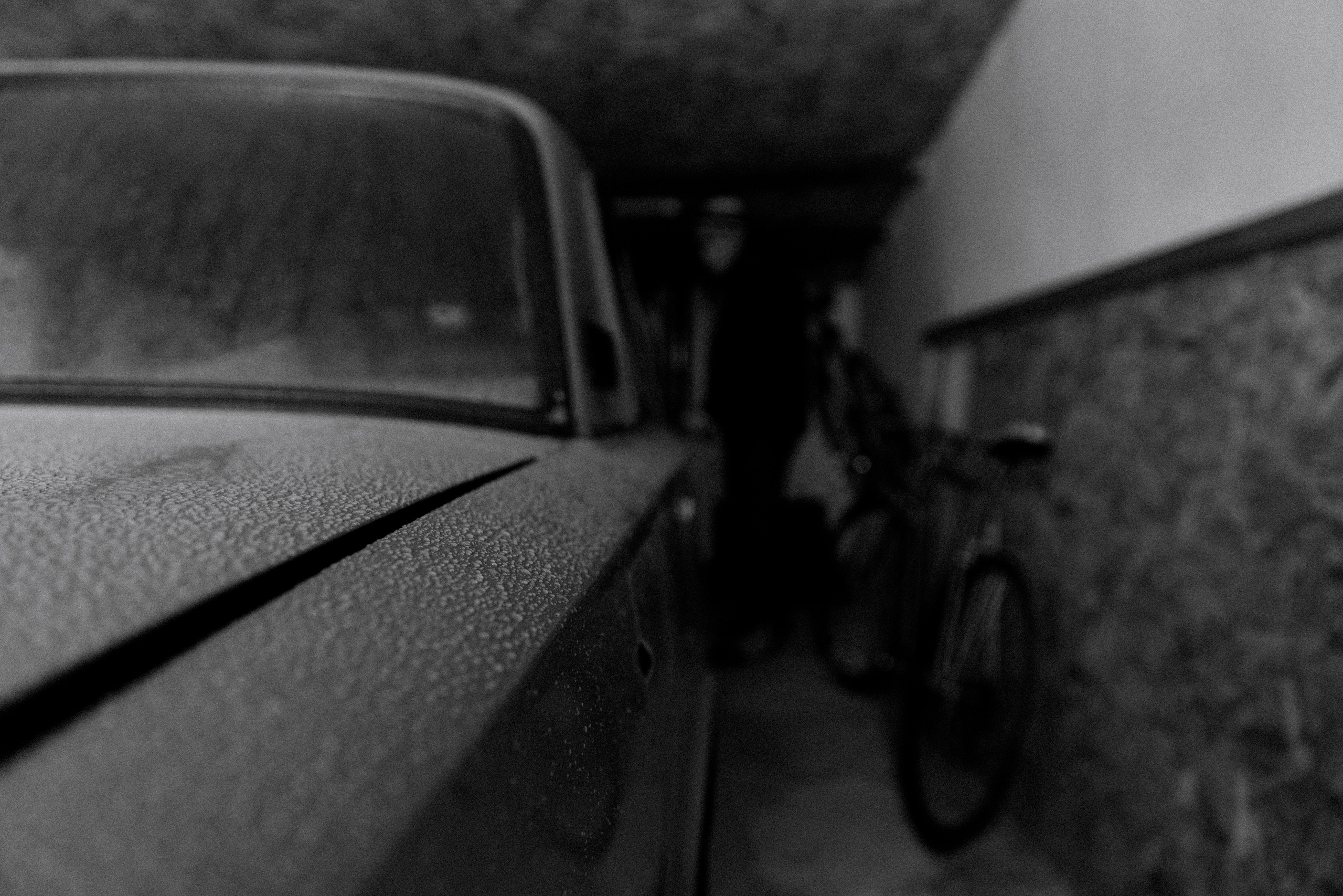 Иван Иваныч. Свадебные фотографы в Гомеле и Минске Сергей и Анастасия Фещенок