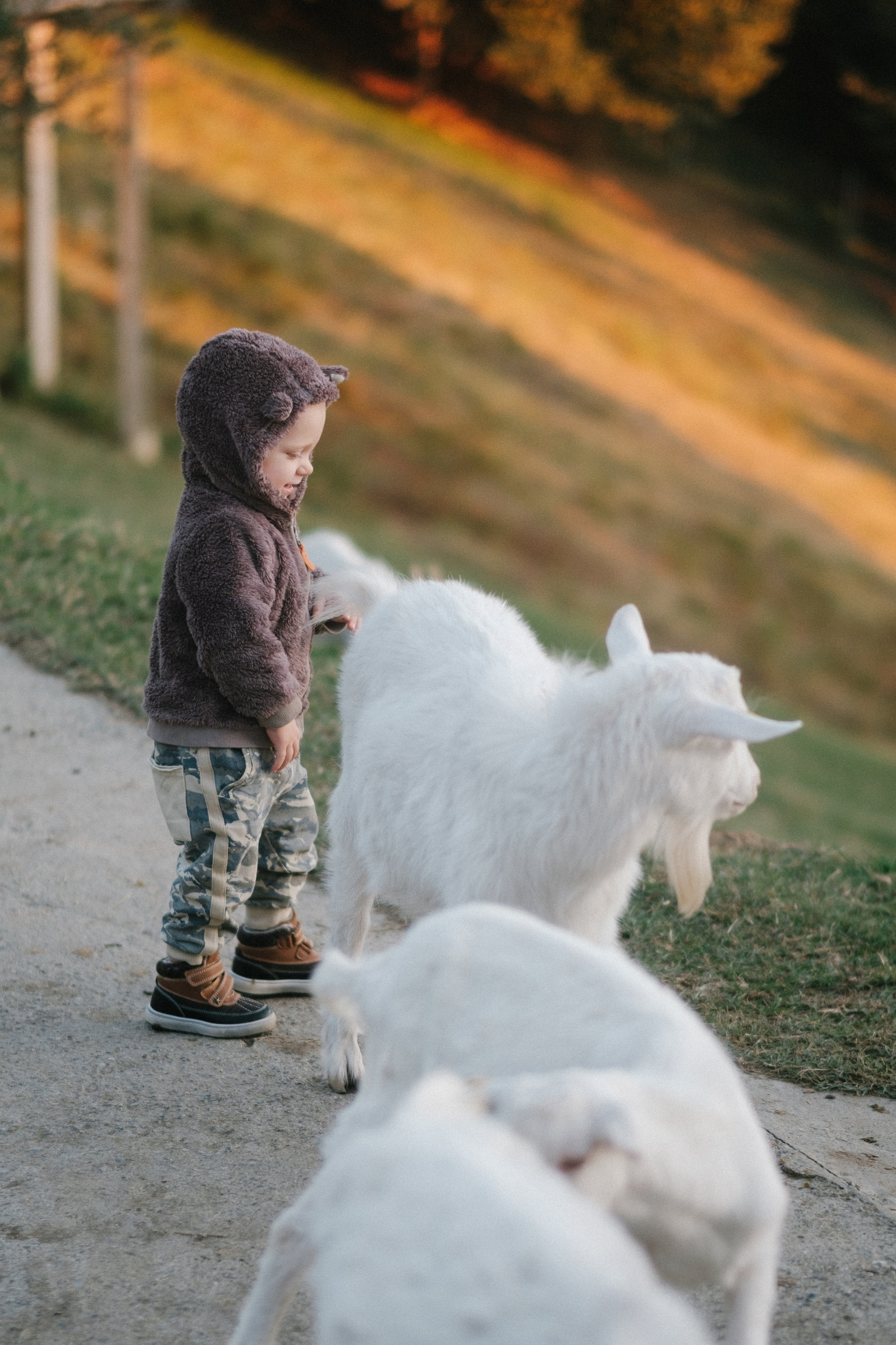 Экзархо. Свадебный Видеограф Фотограф в Сочи