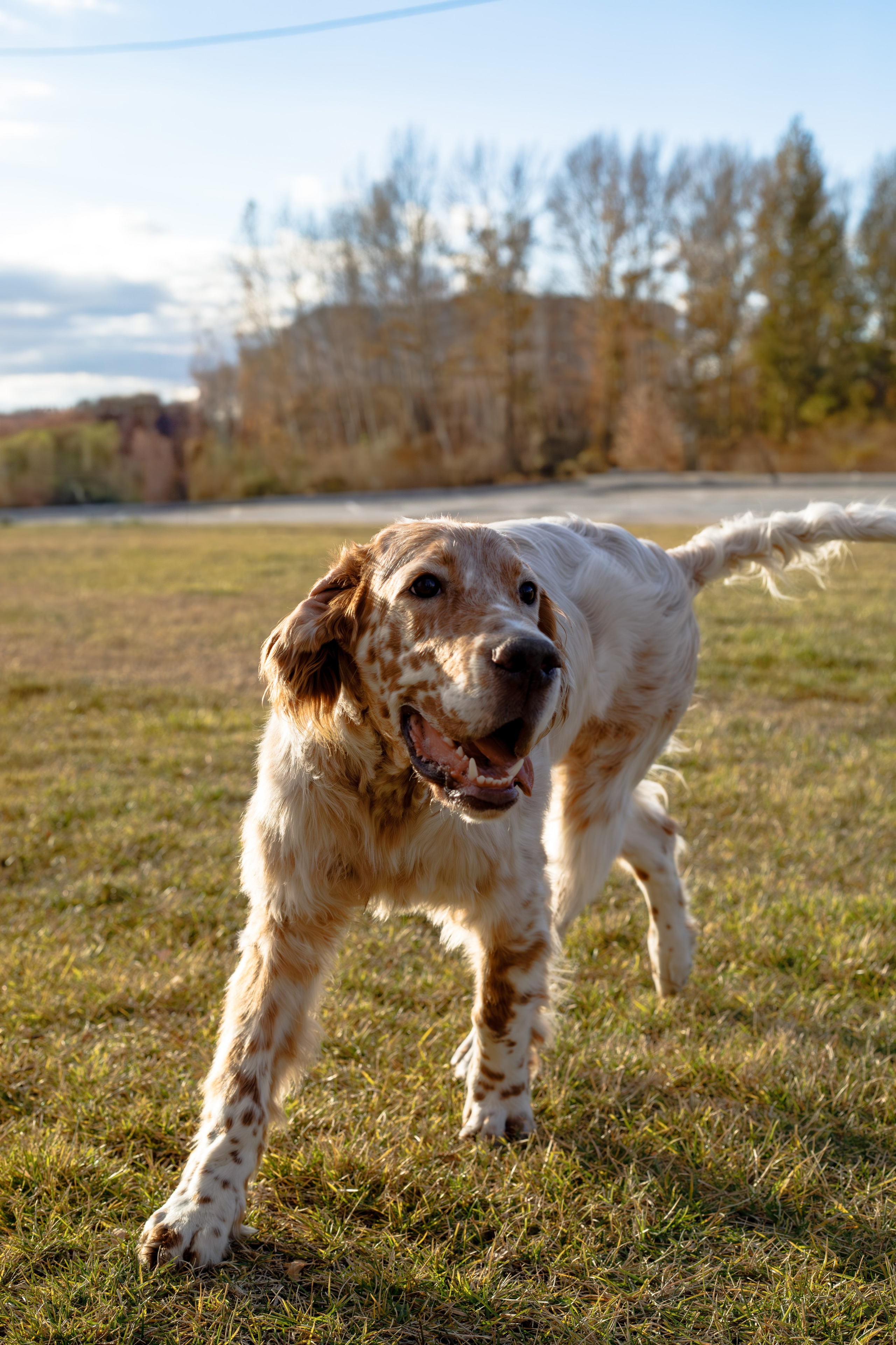 Андрей и Милан. Фотограф Екатерина Козловская