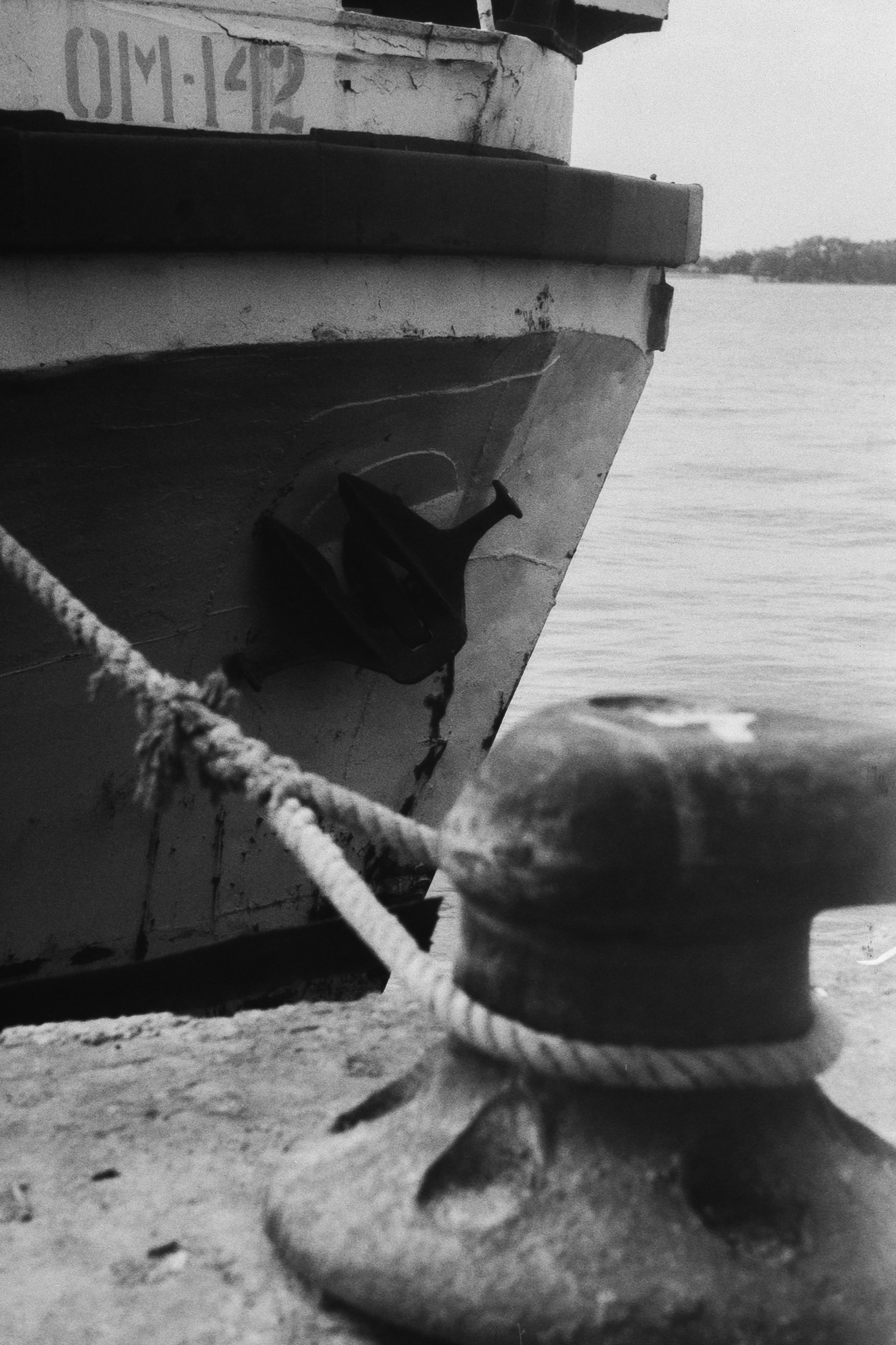 Пленочная история. Дмитрий Пропадалин, Нейрофотография