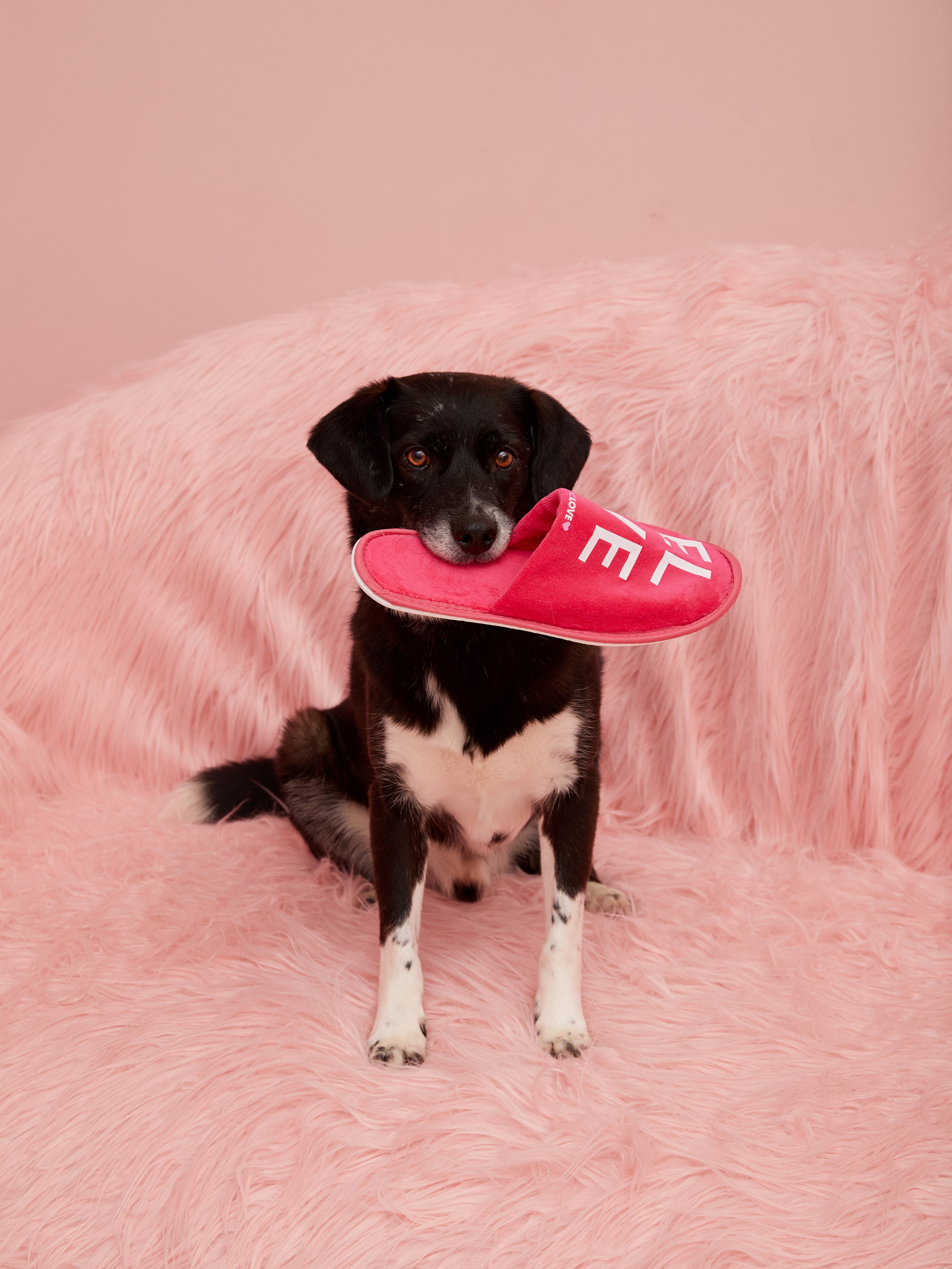 Мерч CTC Love x Кто круче Рогова. Фотограф Sasha Saunder