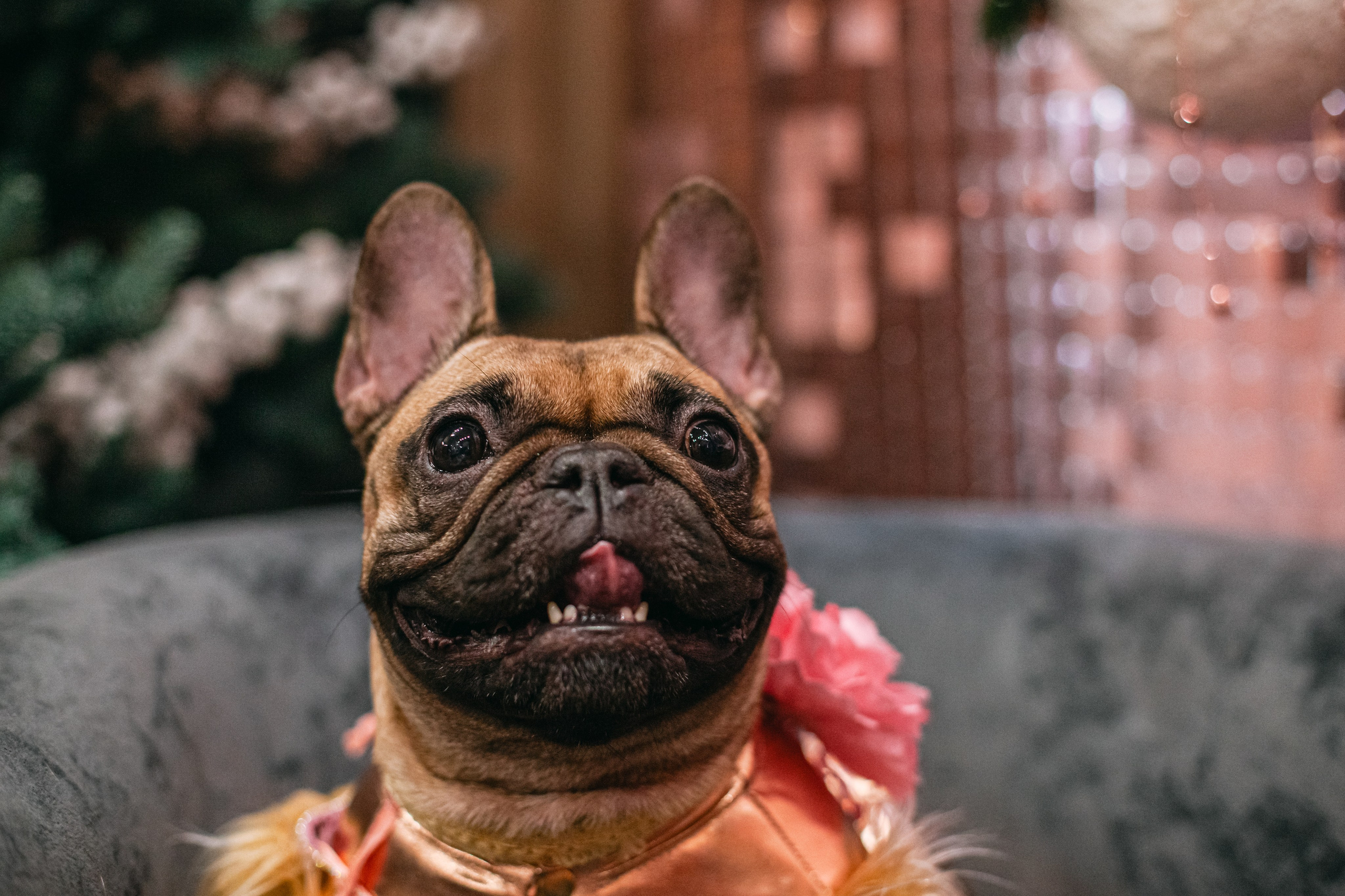 Бульёлка 2024. Фотограф-анималист Татьяна Степанова