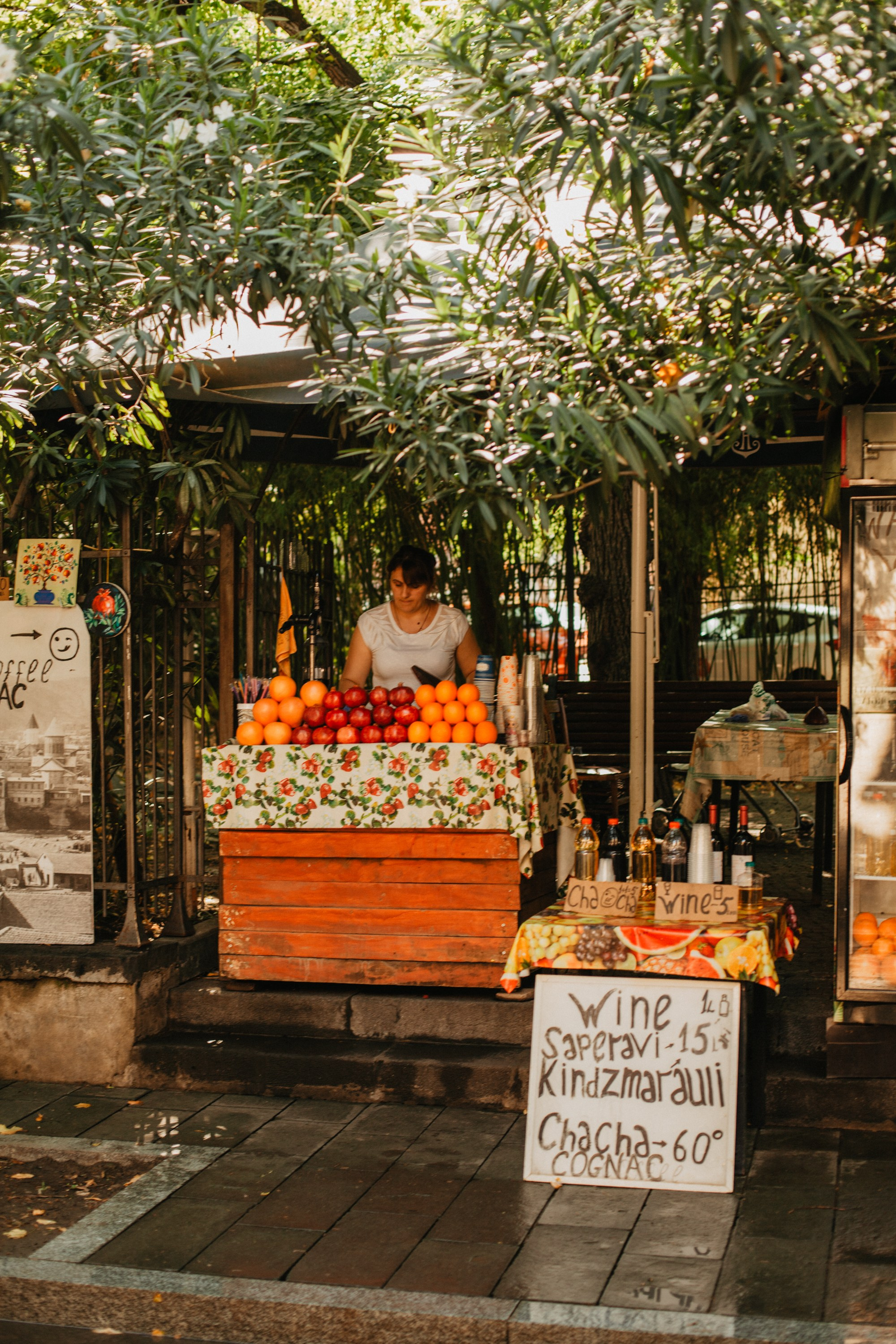 Грузинские каникулы. Violetta Skripka