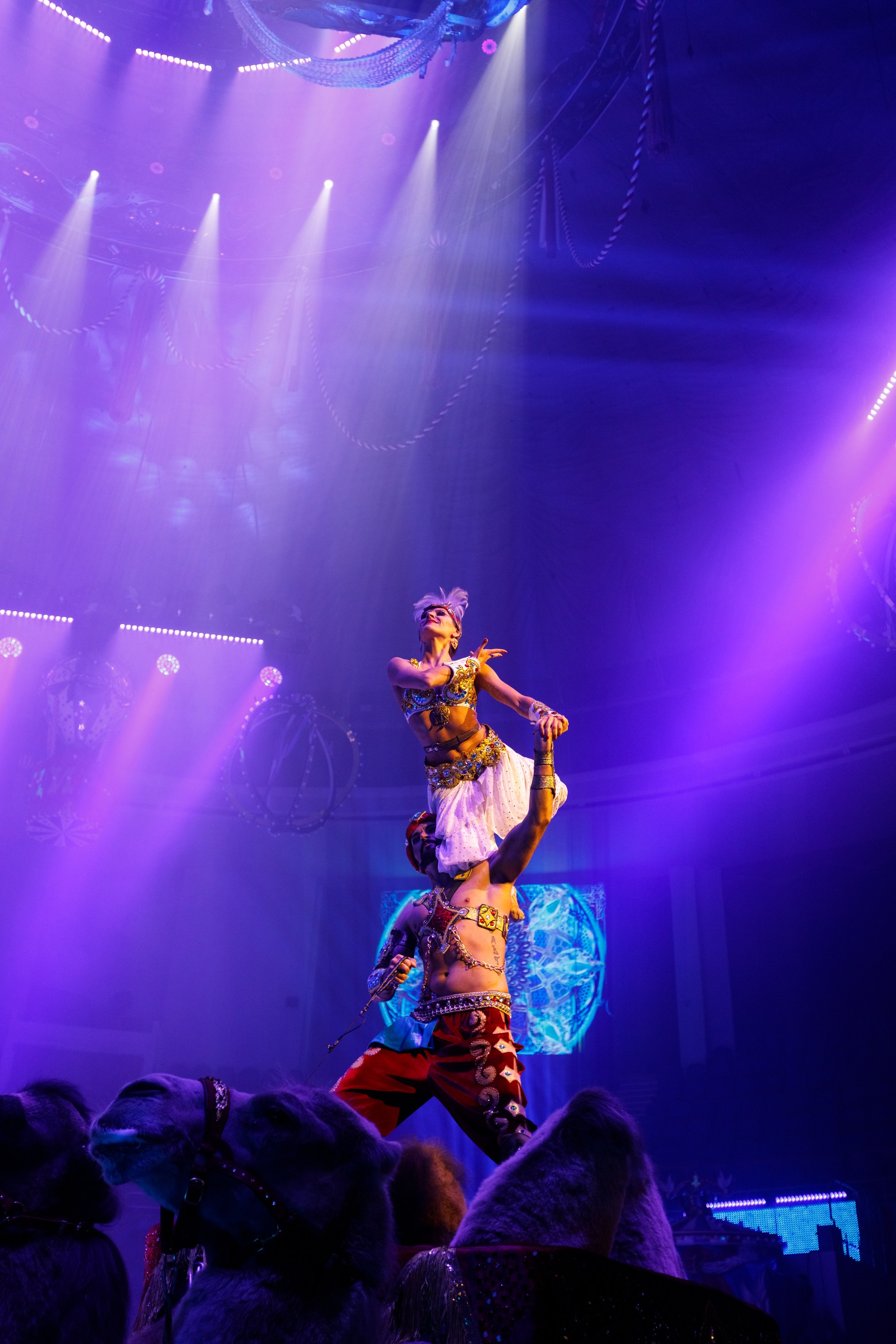 Сочинский росгорцирк Шоу Гии Эрадзе цирк. Профессиональный фотограф в Сочи Виктория Джой. Обучение