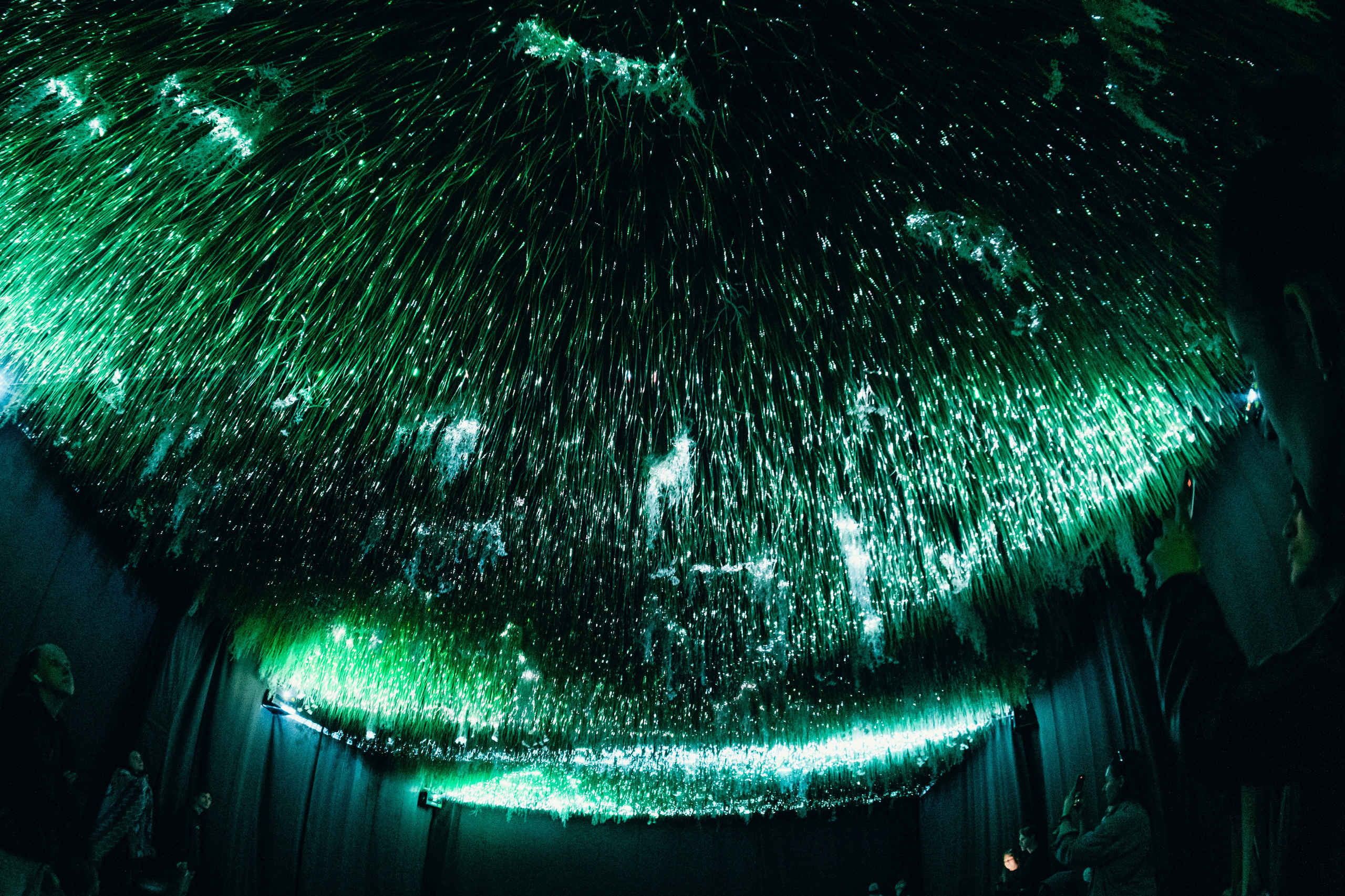 NUR 2024. Главная